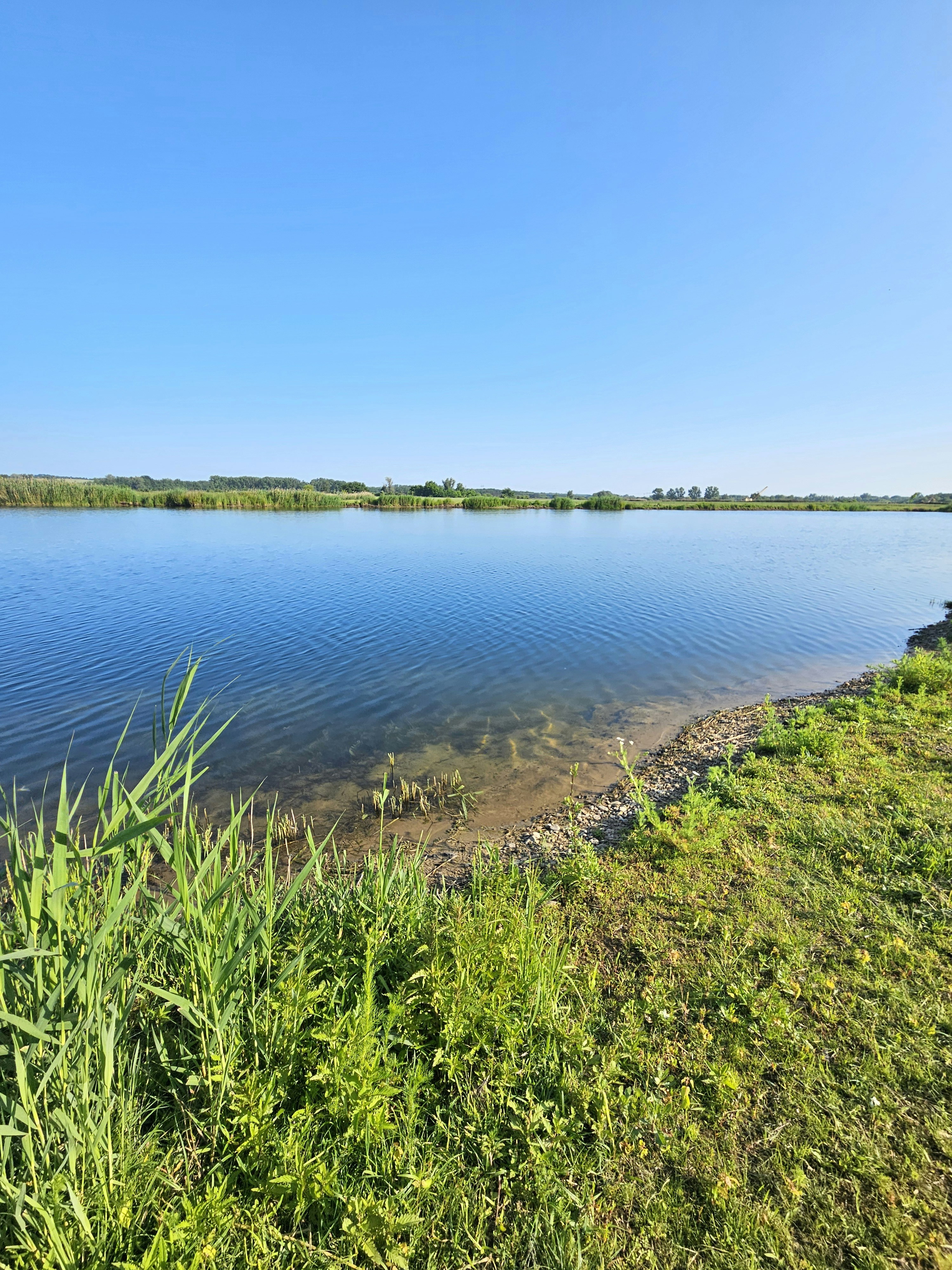 Photo by marjorylucabaxter