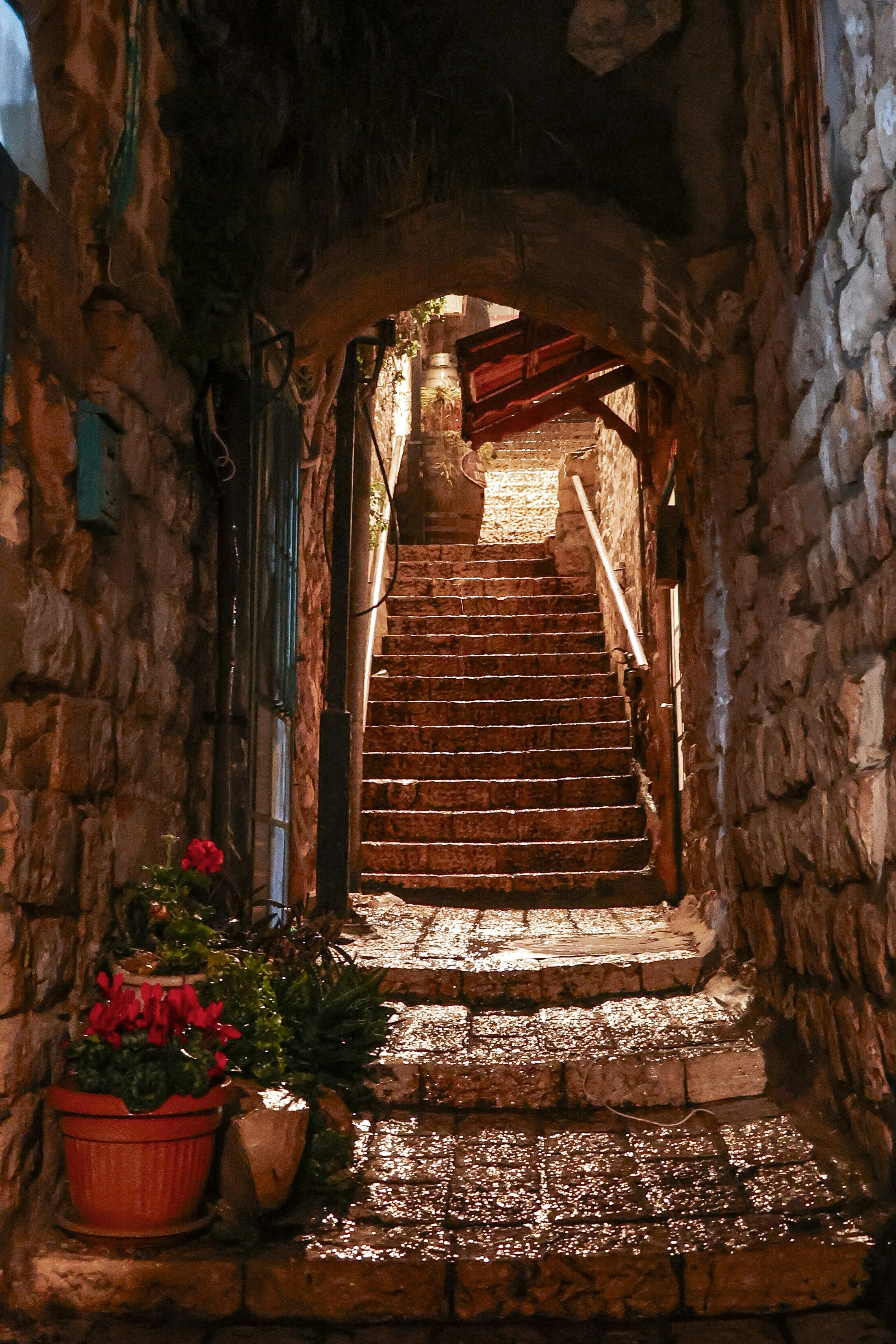 Photo by haim_charbit18