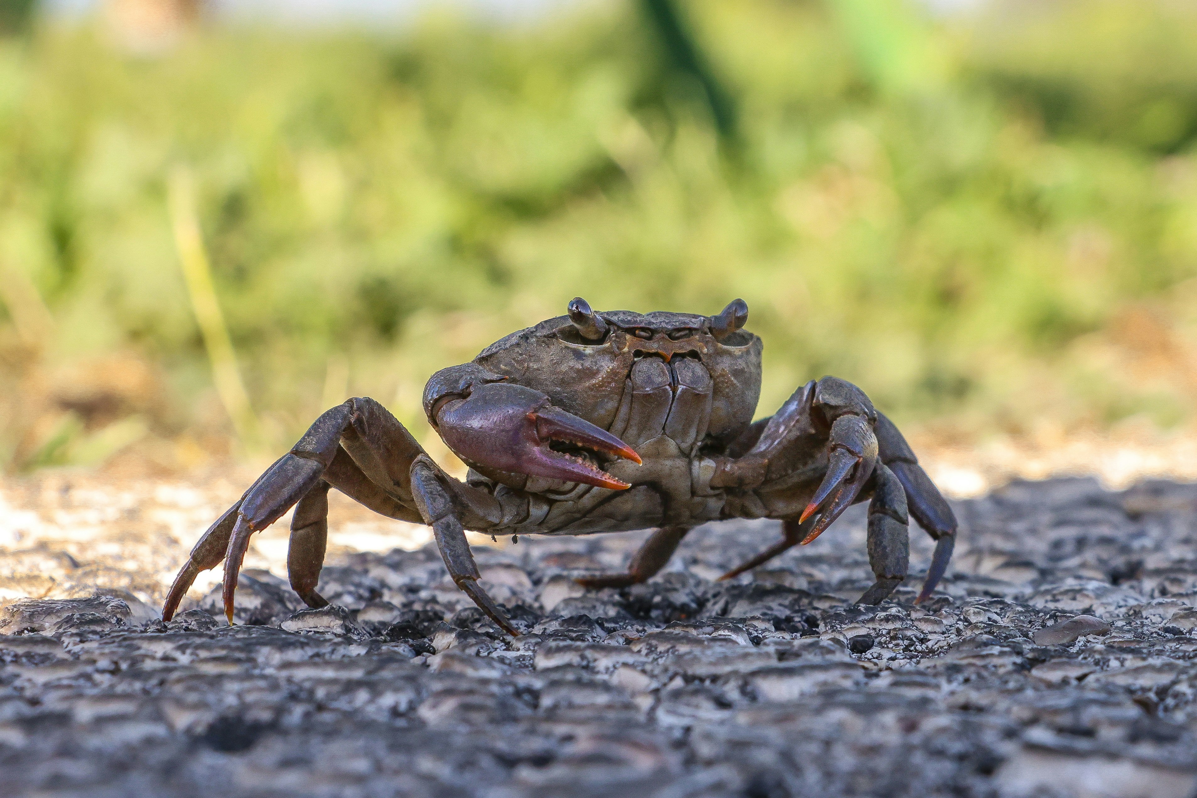 Photo by haim_charbit18