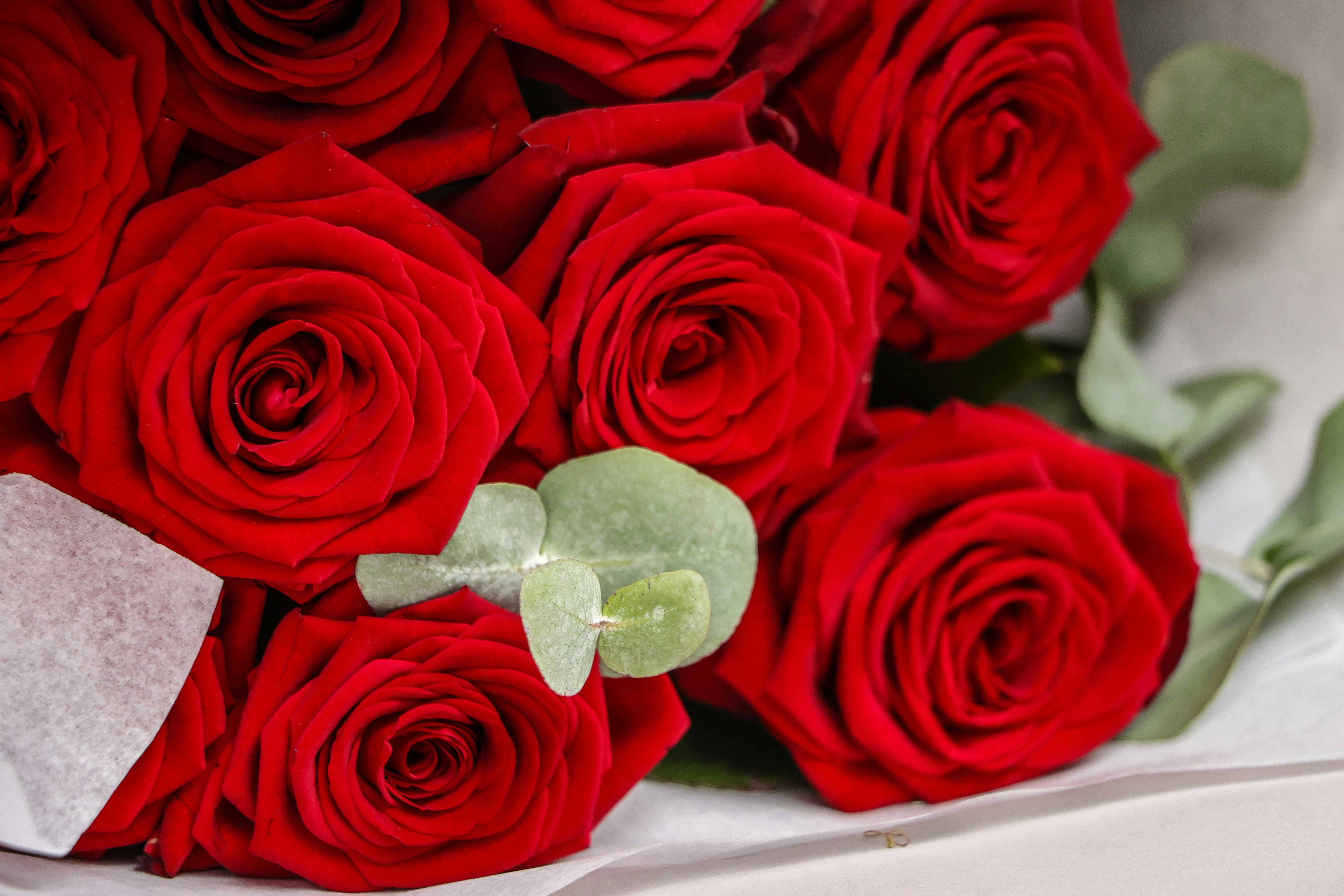 Photo by haim_charbit18