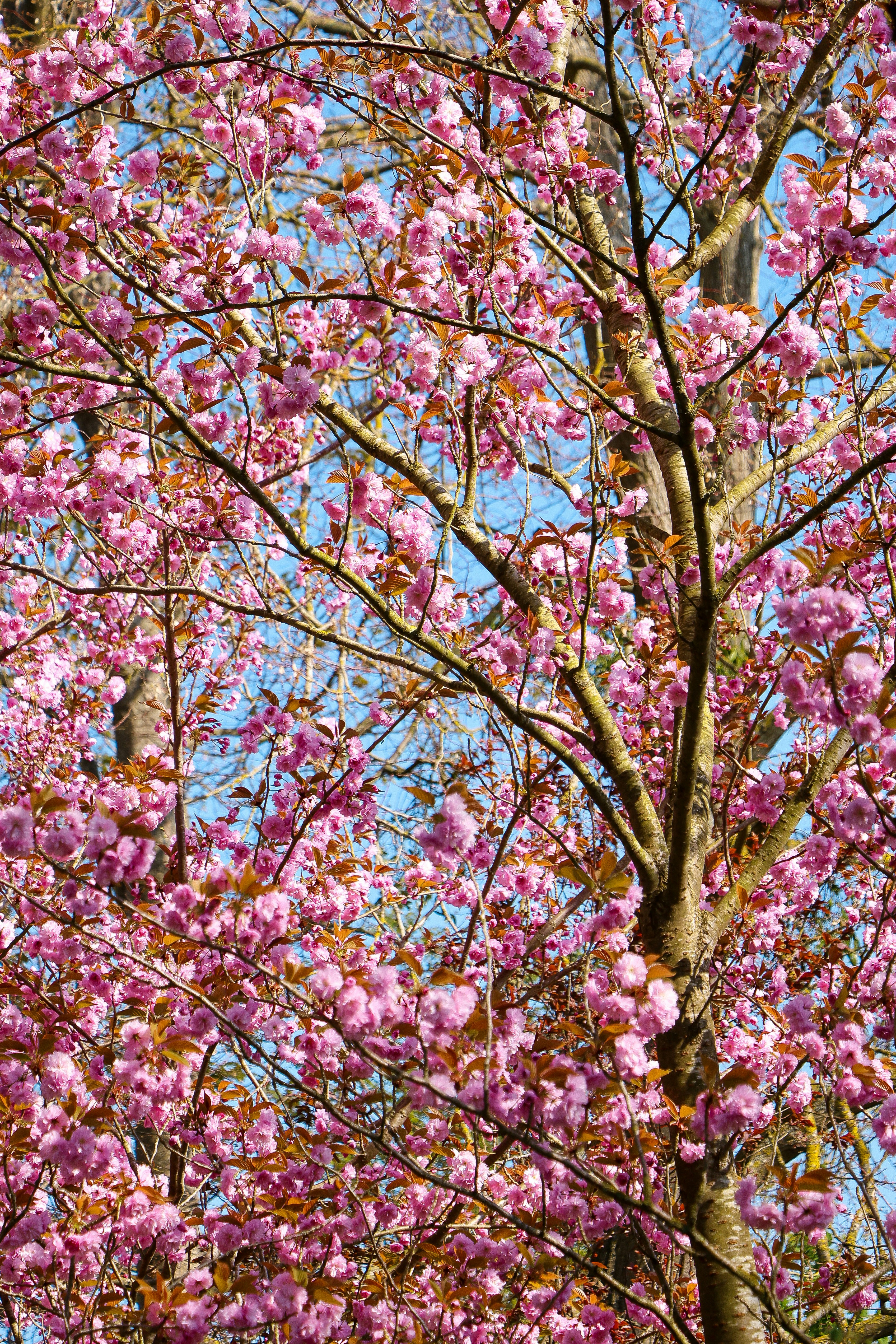 Photo by haim_charbit18