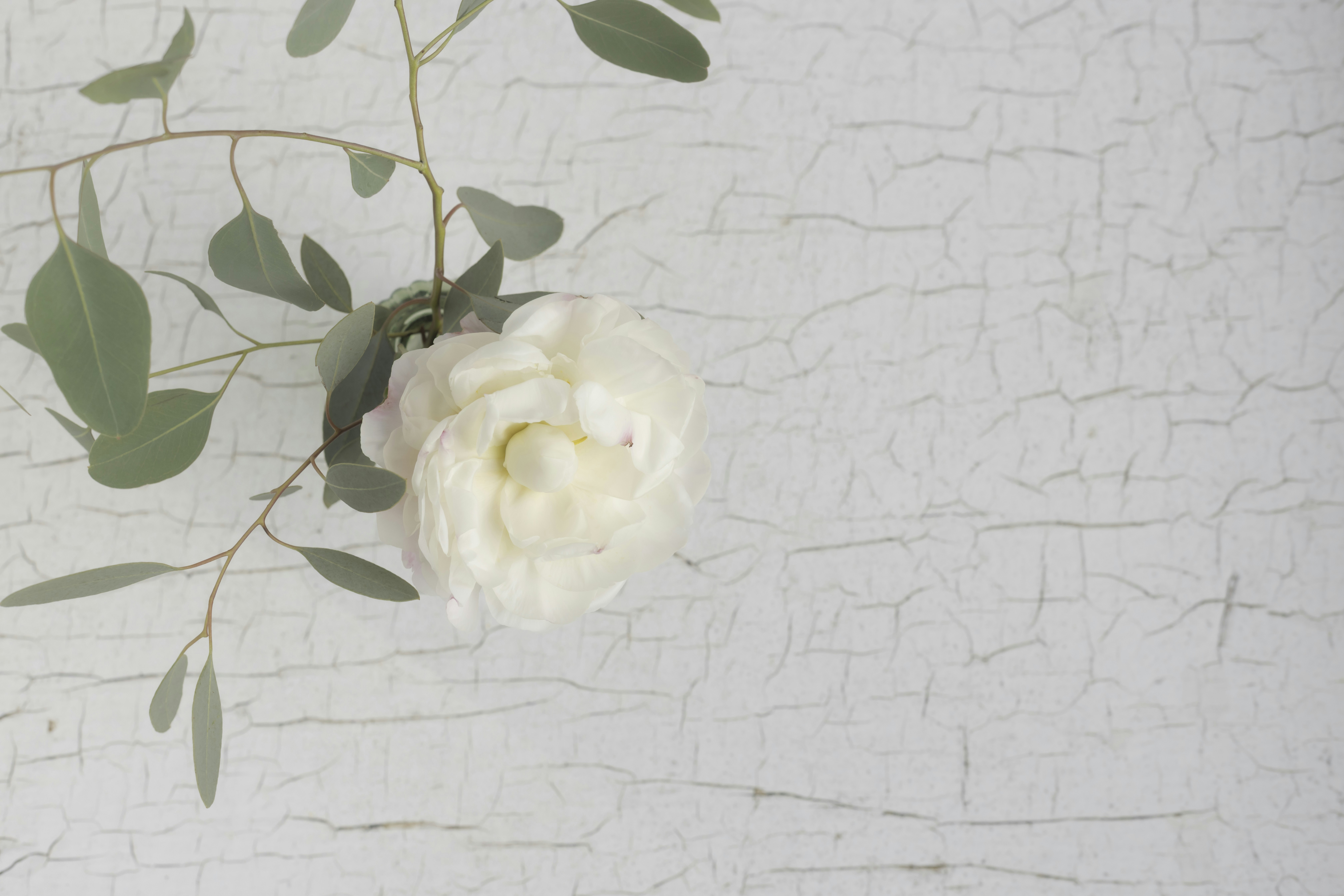 Photo by native7photo