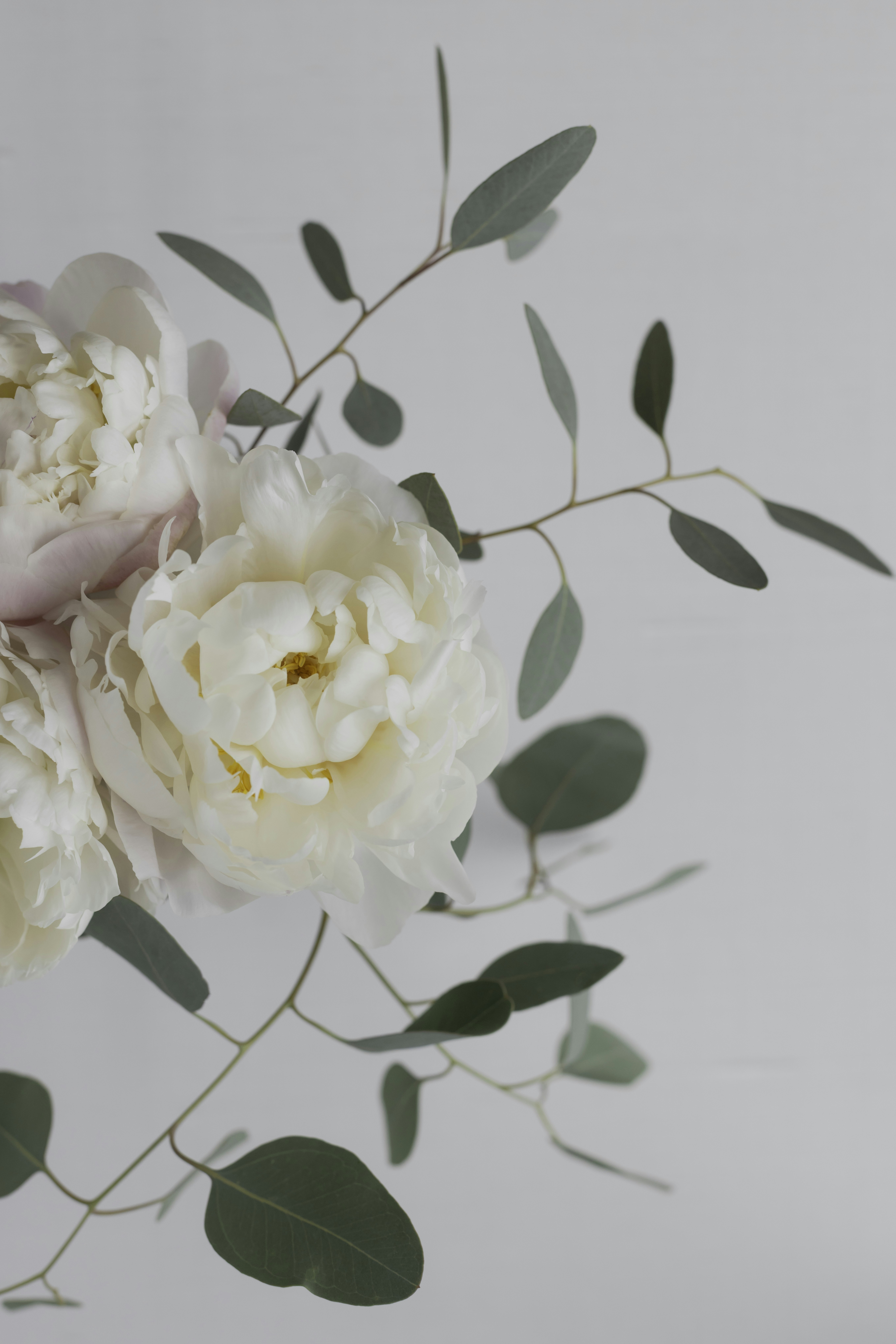 Photo by native7photo