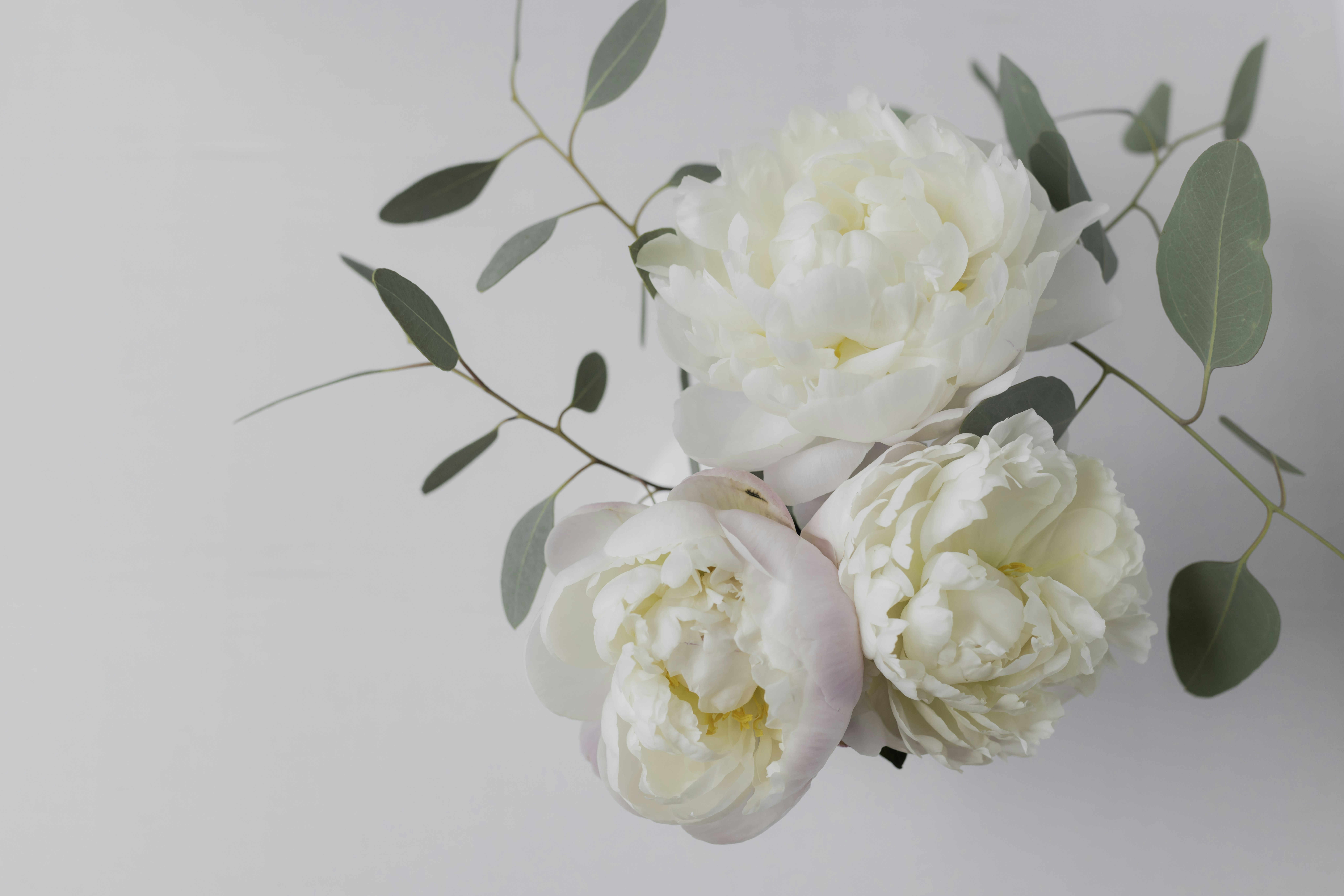 Photo by native7photo