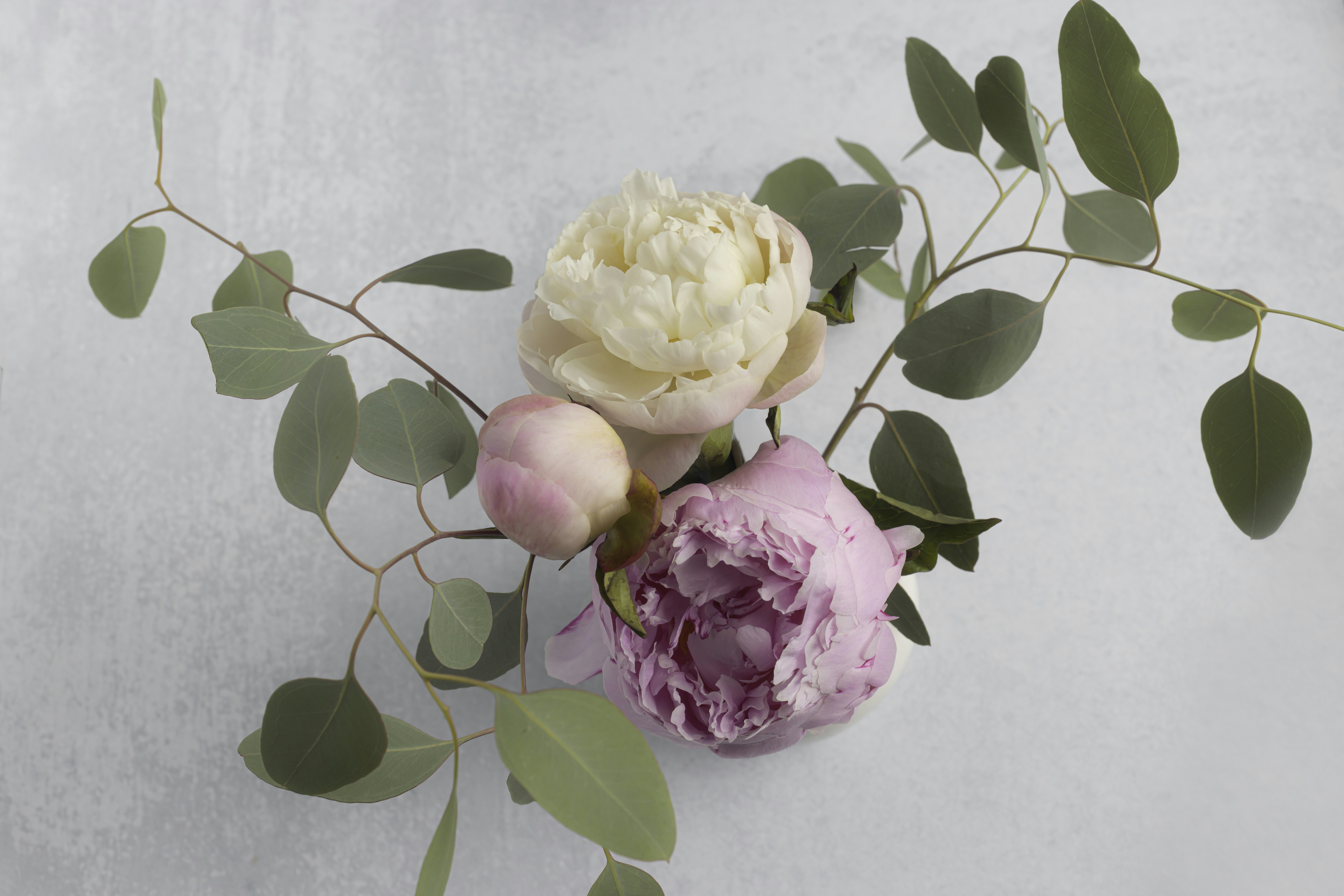 Photo by native7photo