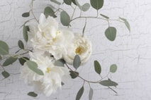 White peonies with greenery on a textured background.