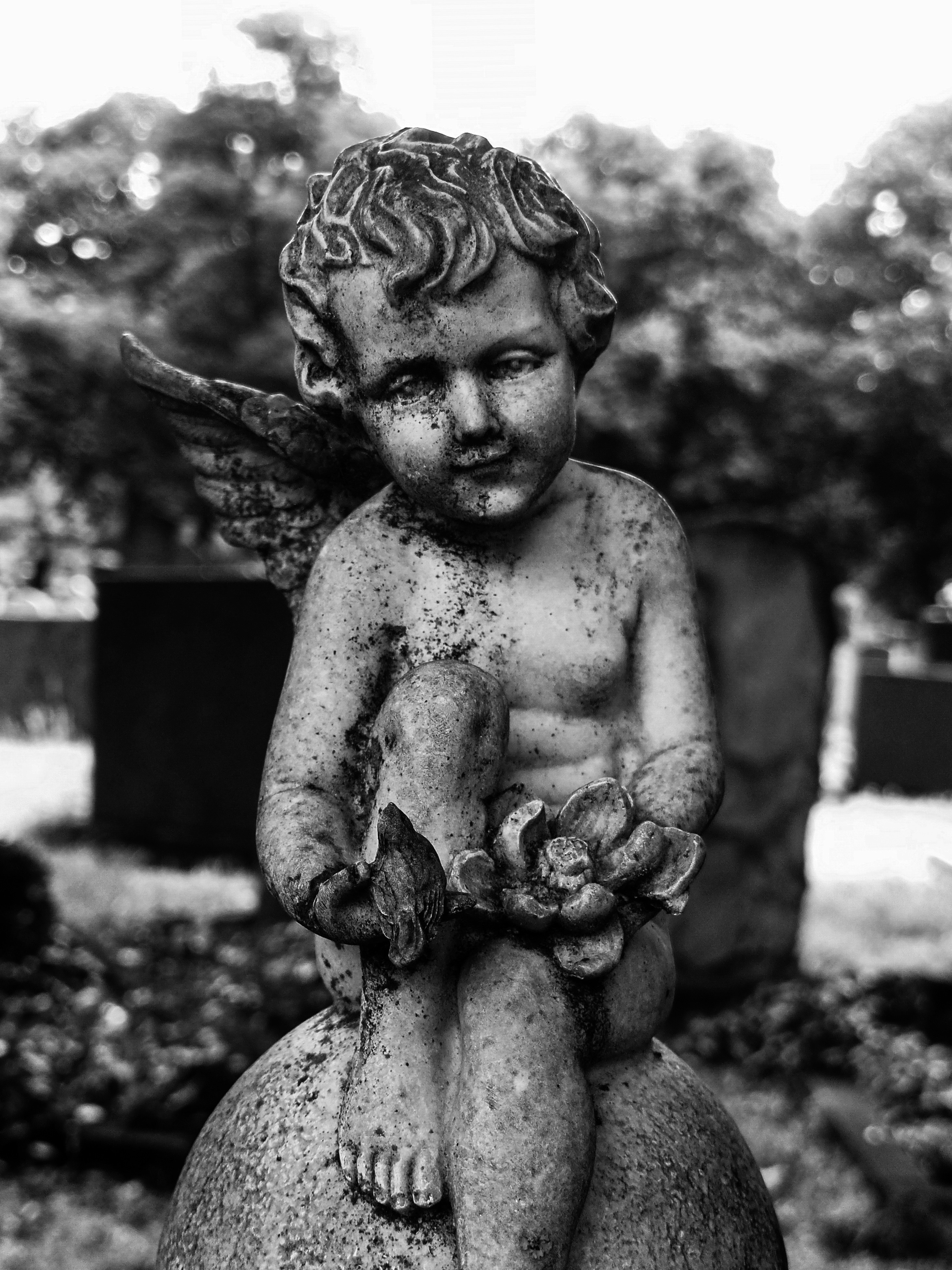 Photo by barbara_light