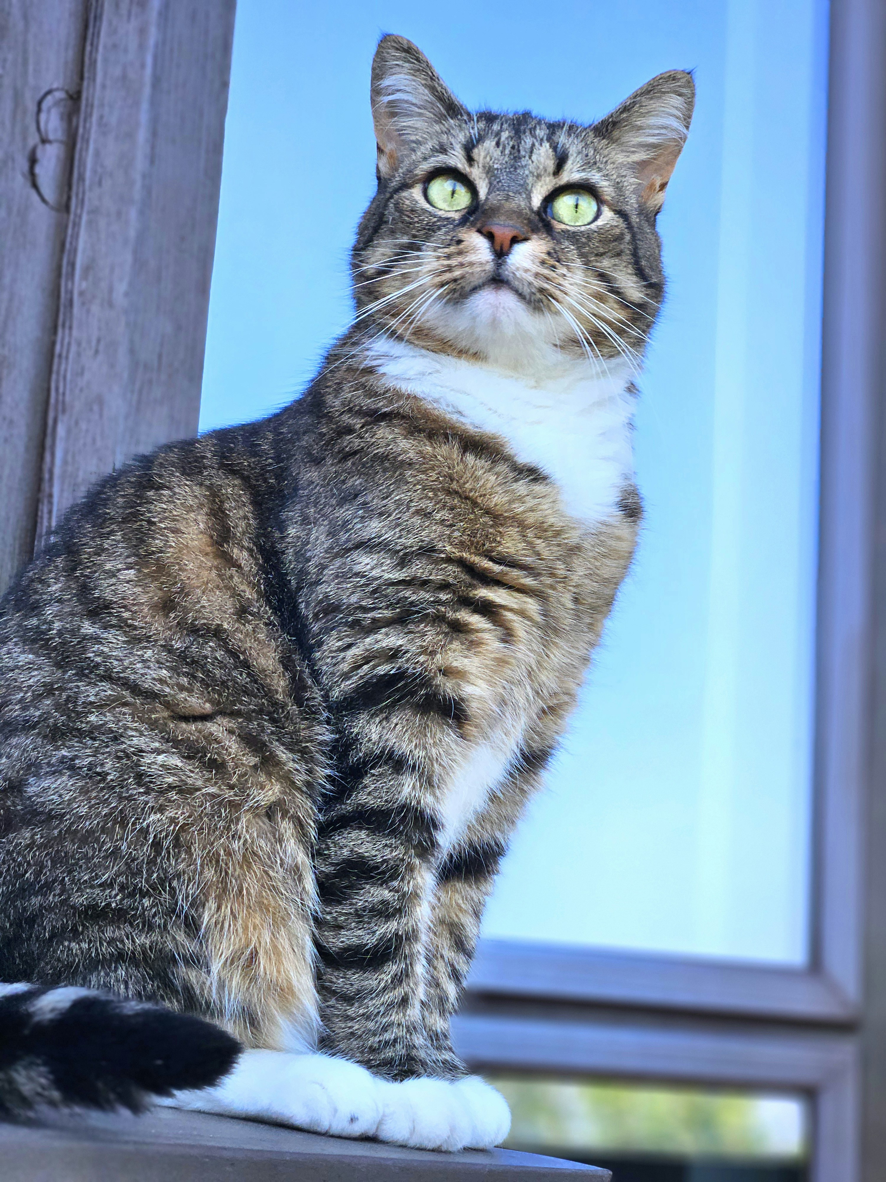 Photo by marjorylucabaxter