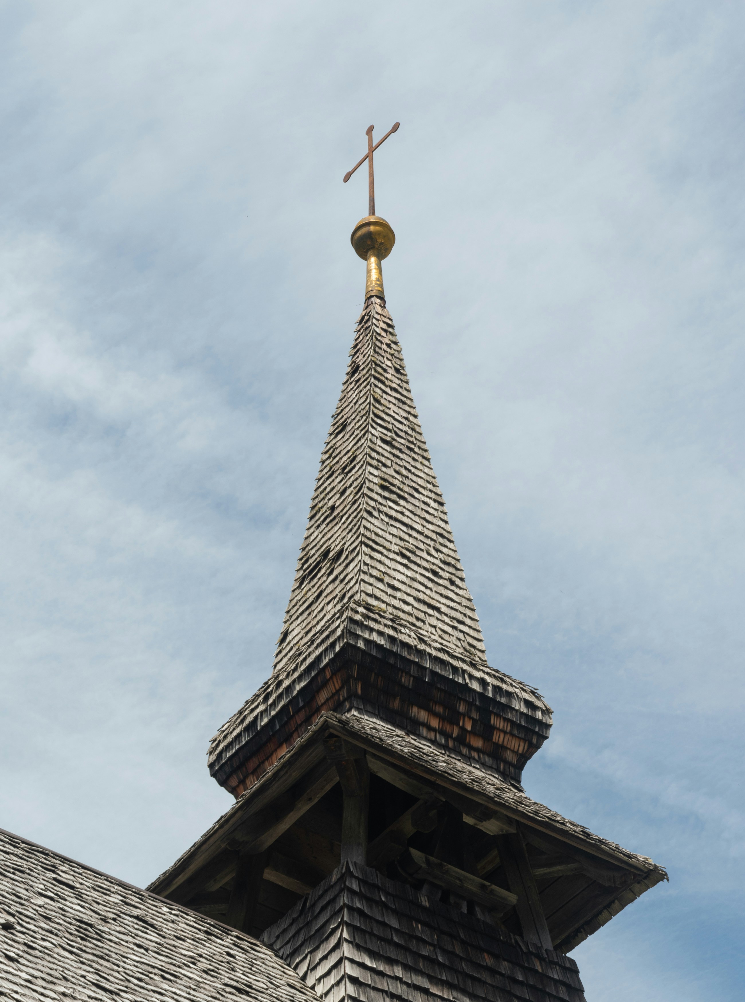 Photo by vjeblackbirdlion