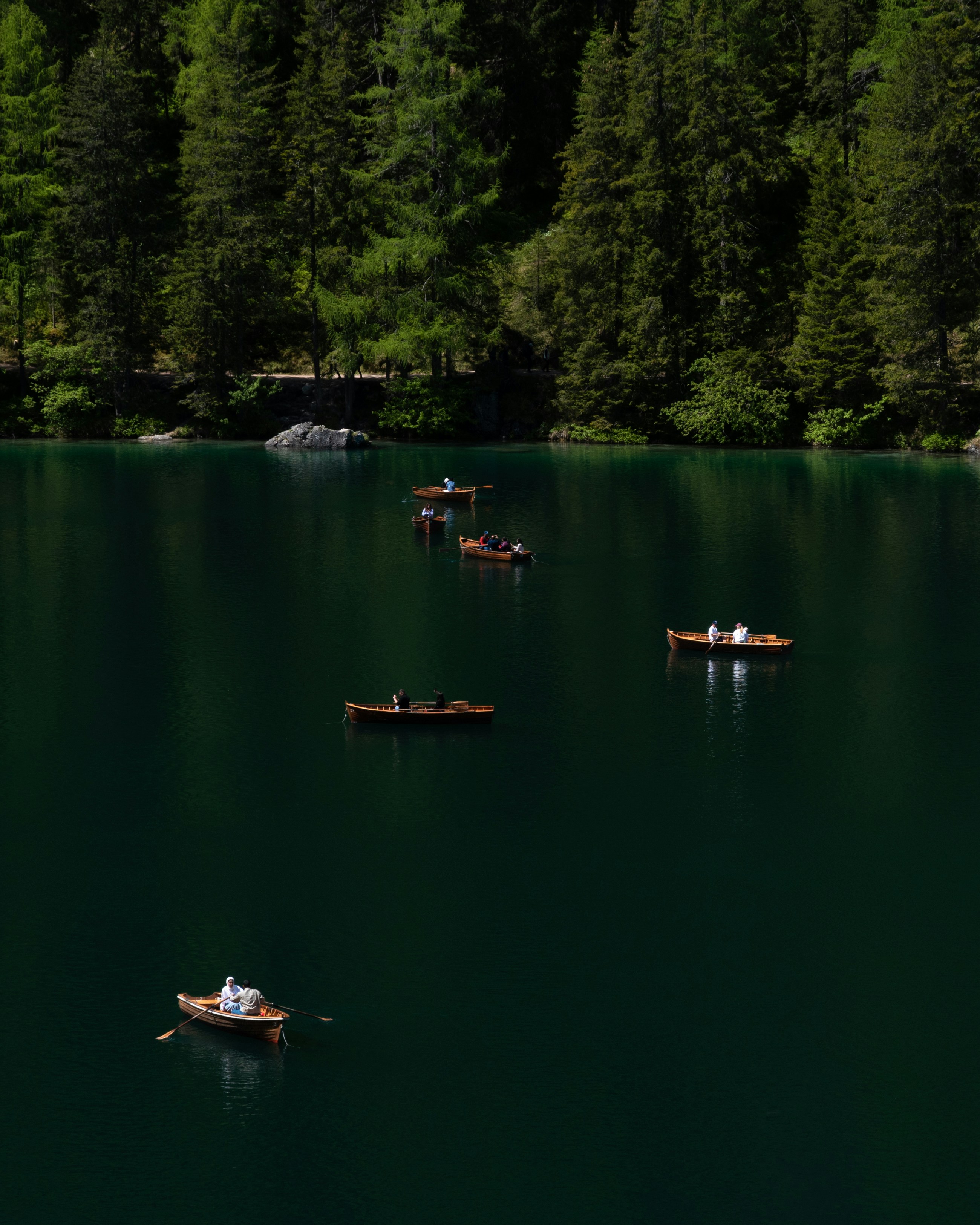 Photo by vjeblackbirdlion