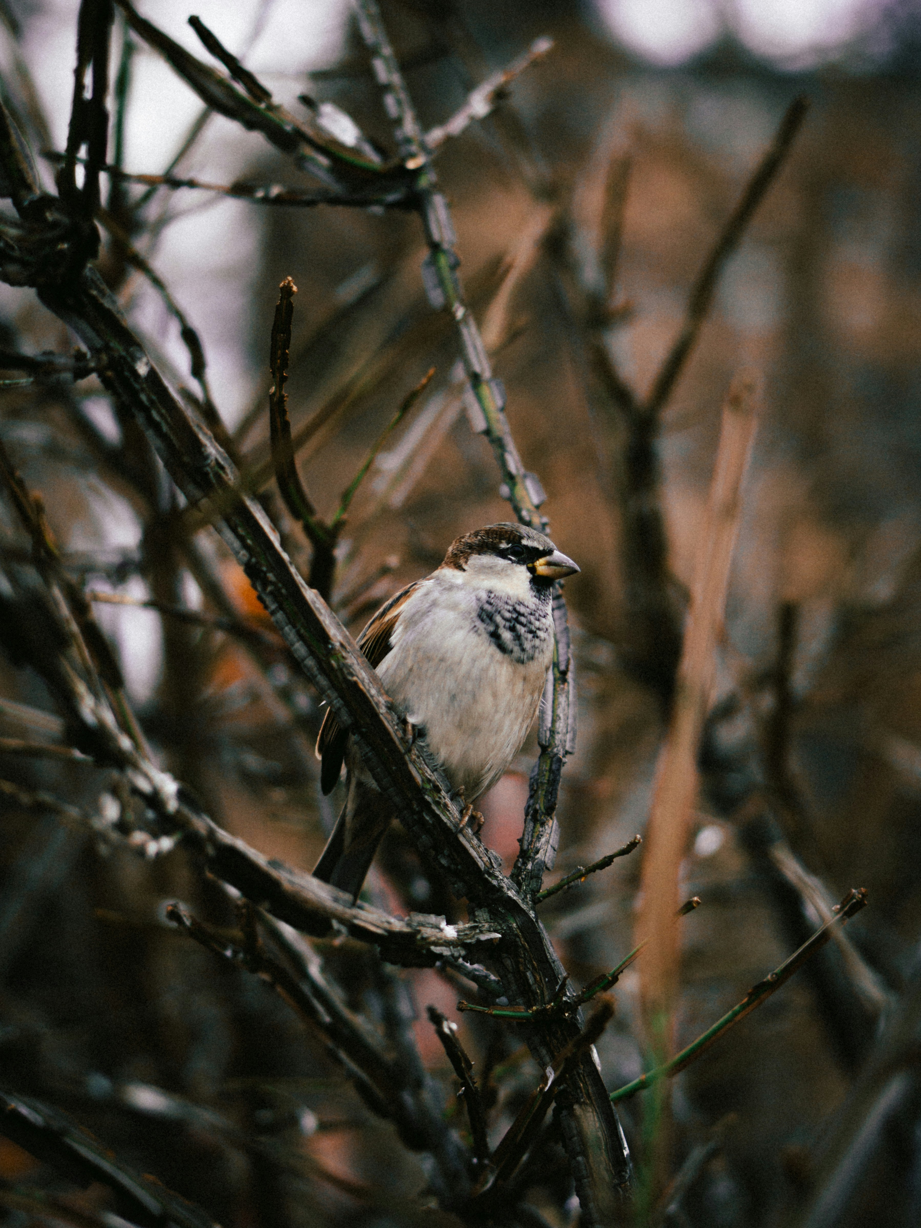 Photo by leksyandrow