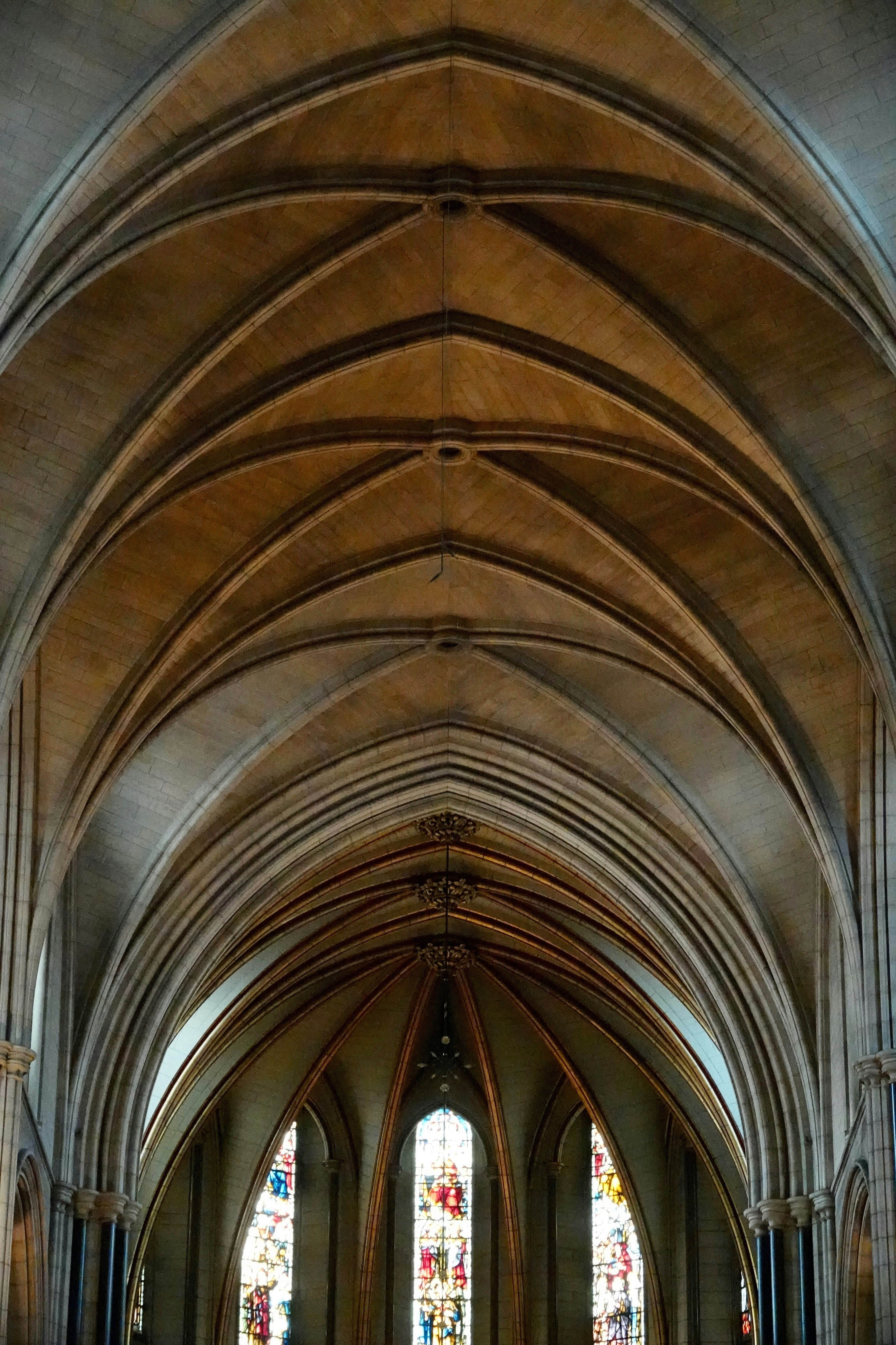 Photo by priyankachechi29