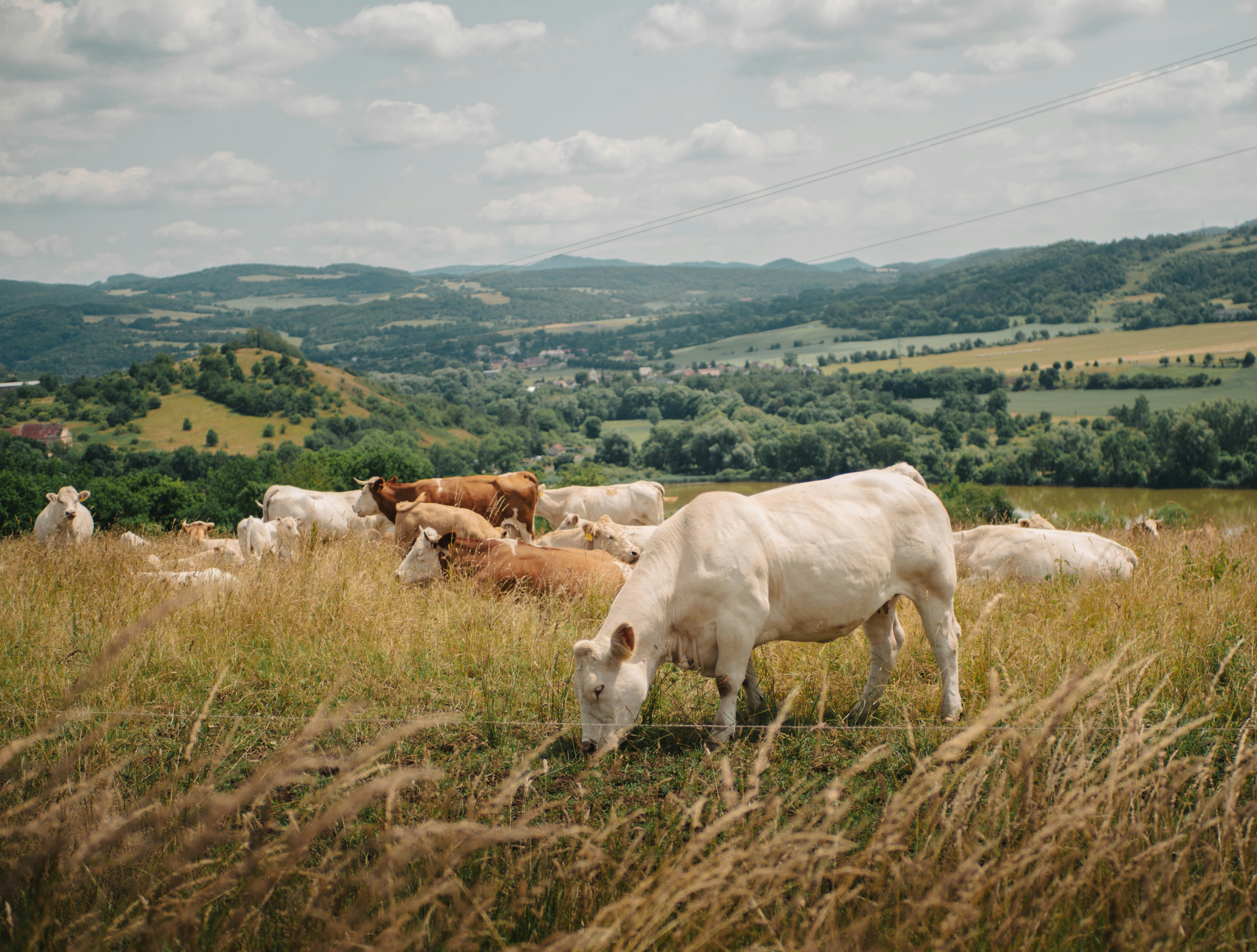 Photo by swordofmerciful