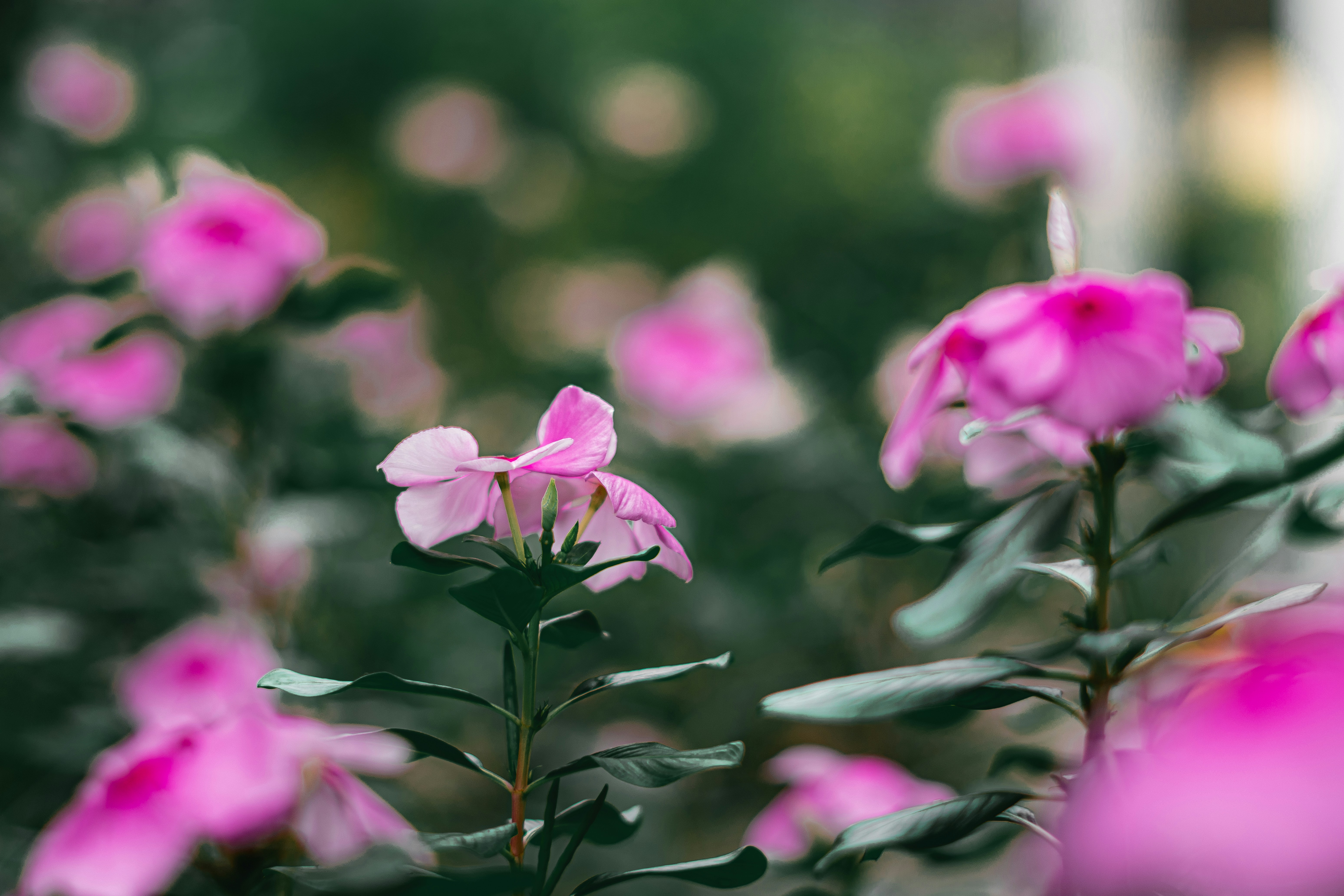 Photo by jealife_pictures