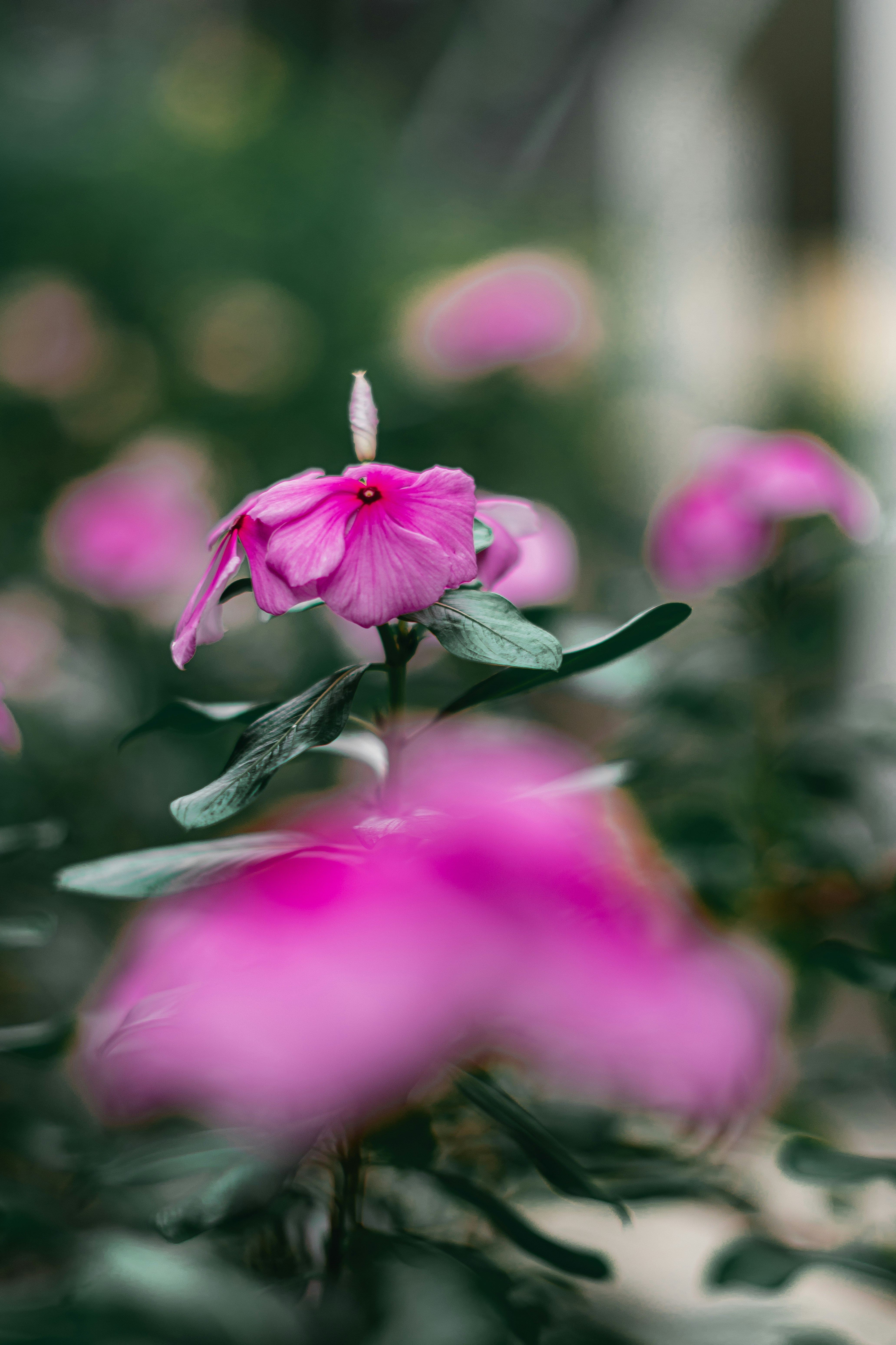 Photo by jealife_pictures