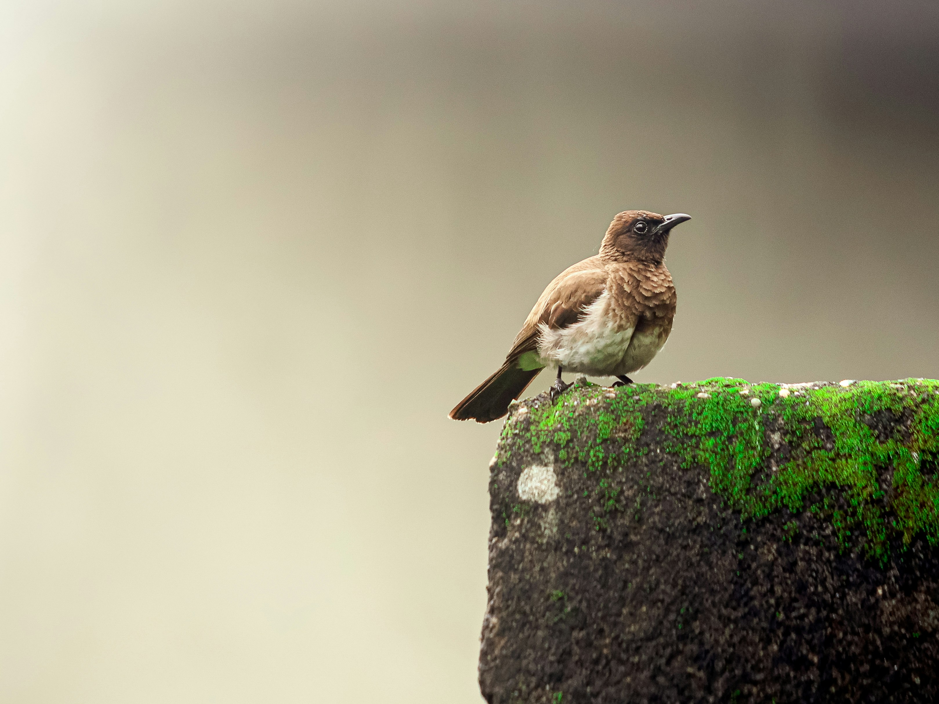 Photo by jealife_pictures