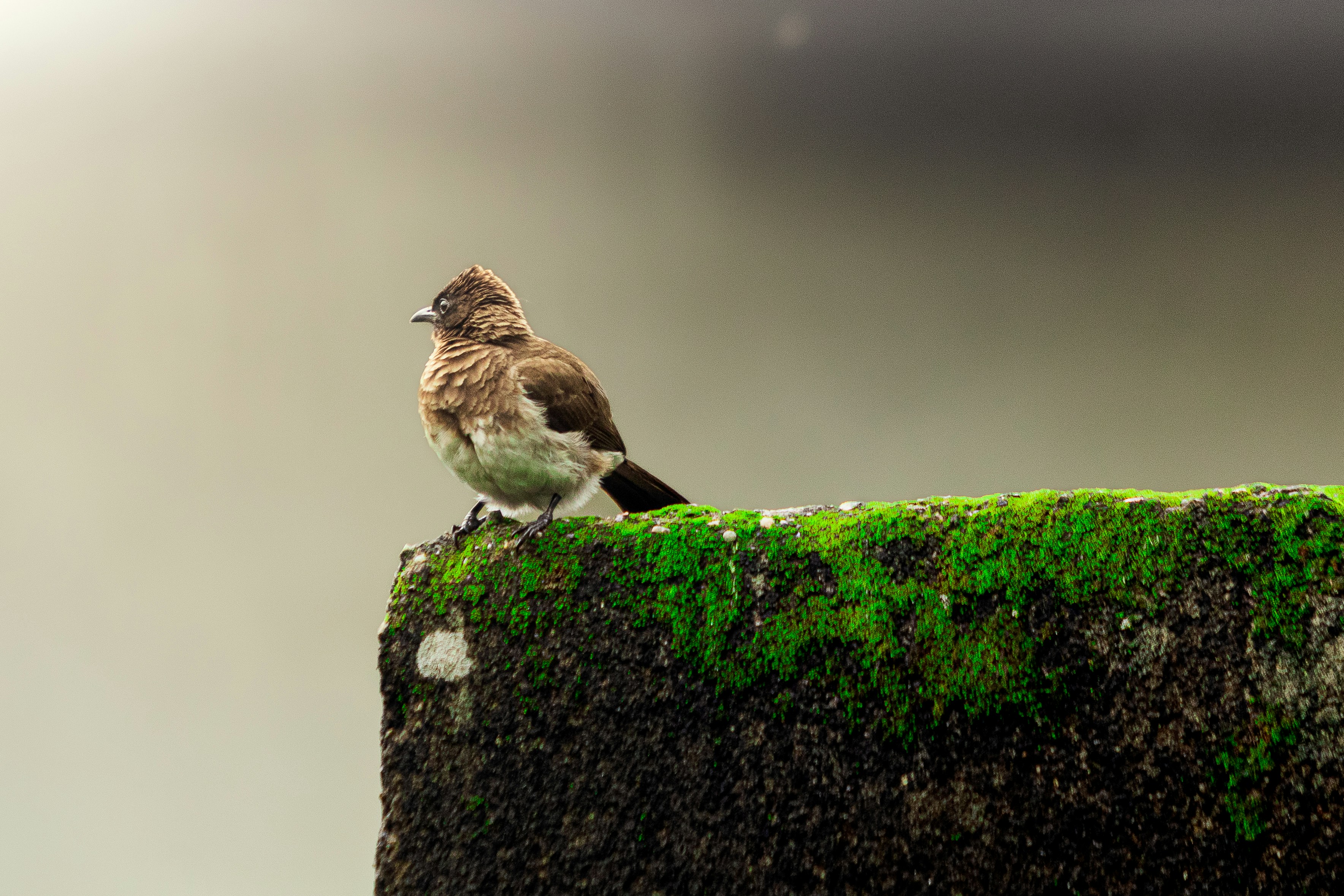 Photo by jealife_pictures