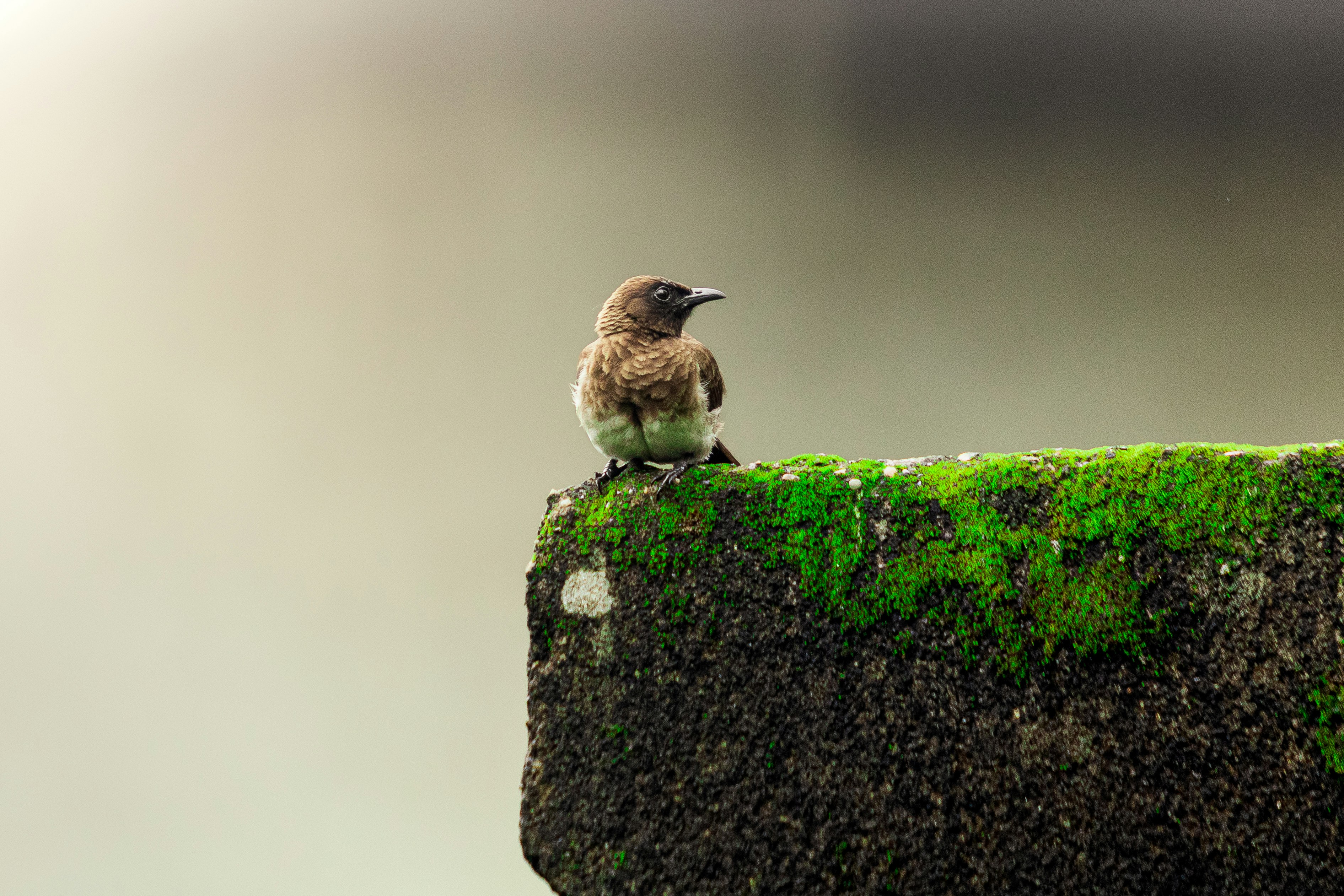Photo by jealife_pictures