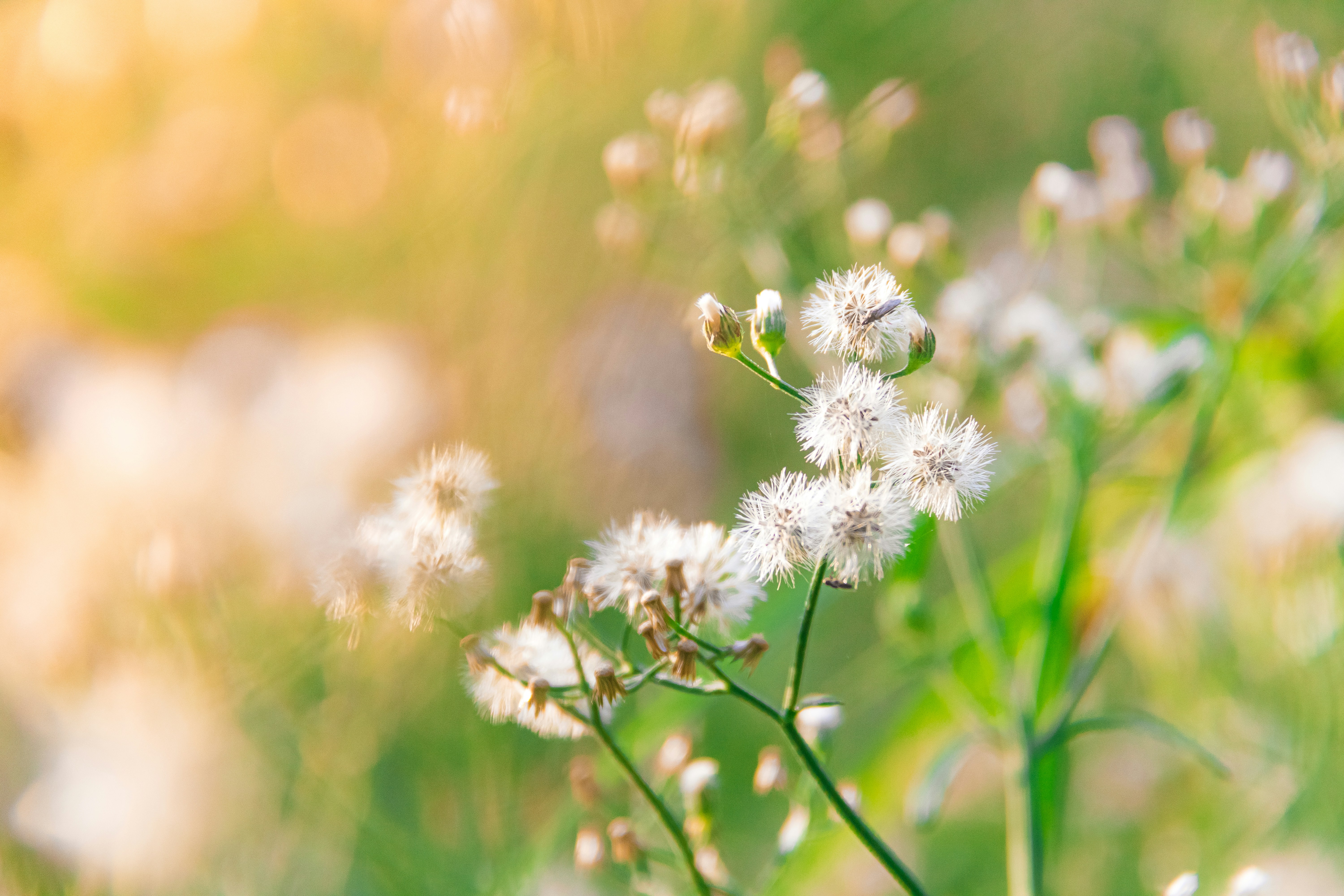 Photo by jealife_pictures