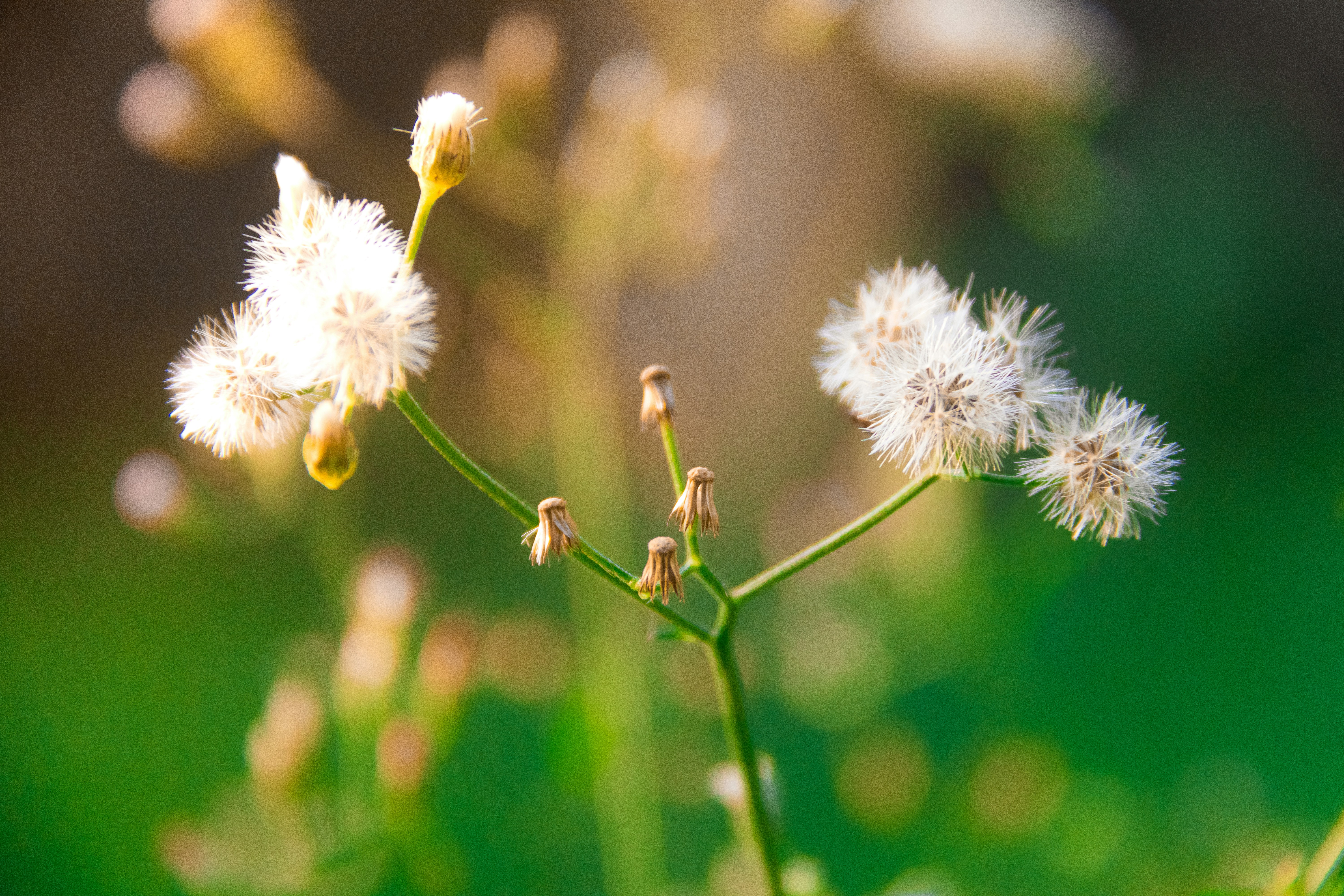 Photo by jealife_pictures