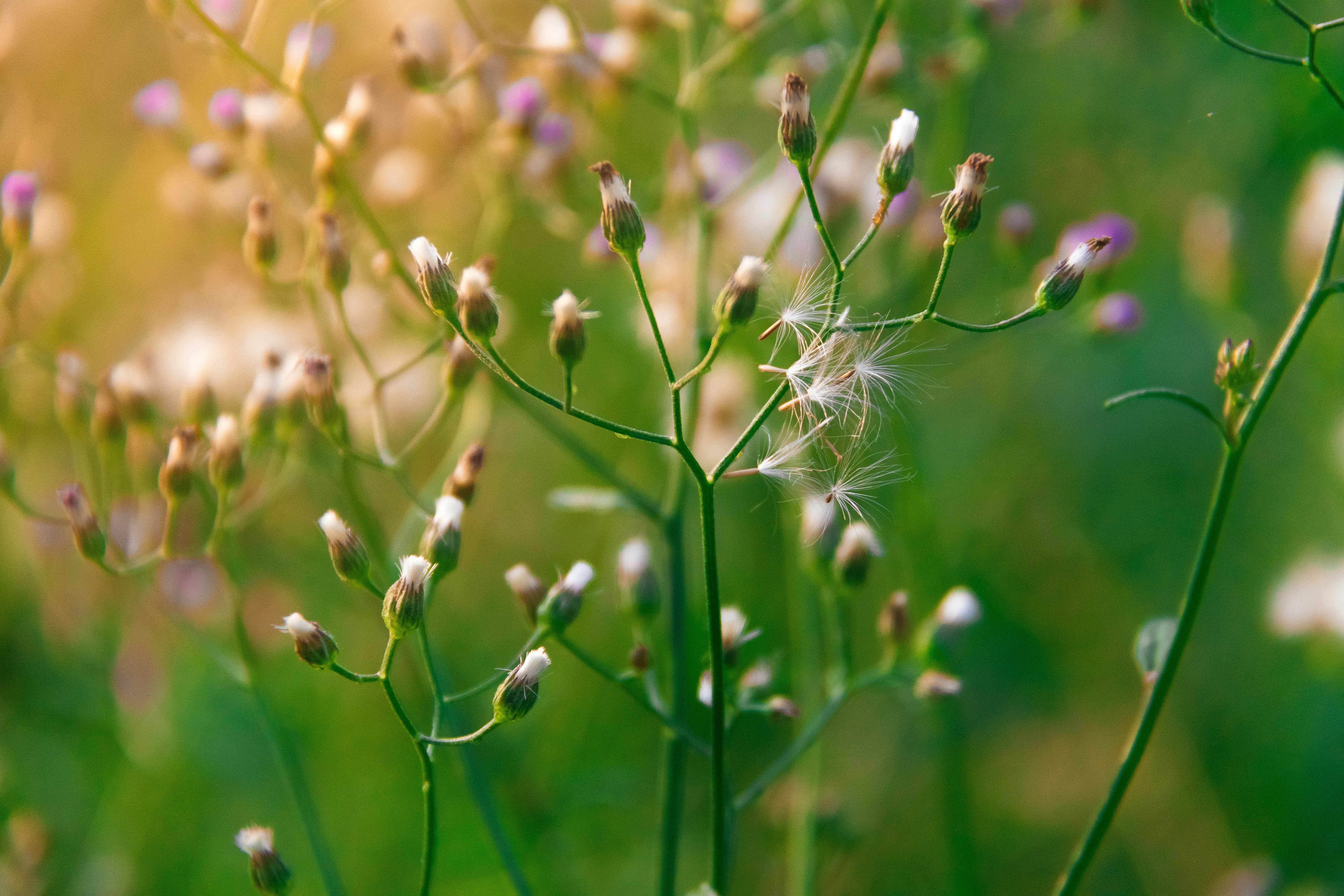 Photo by jealife_pictures