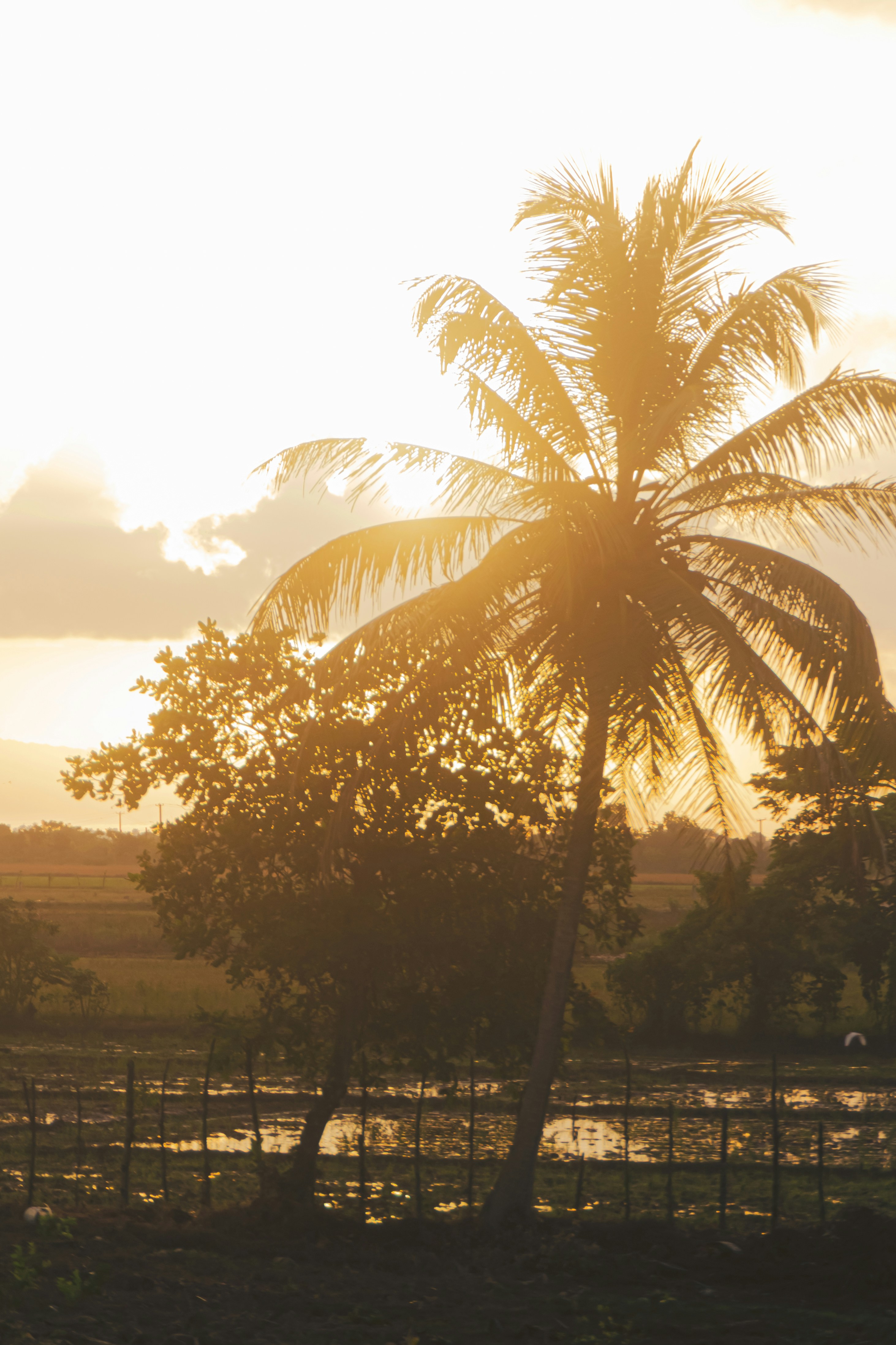 Photo by agustin_pimentel