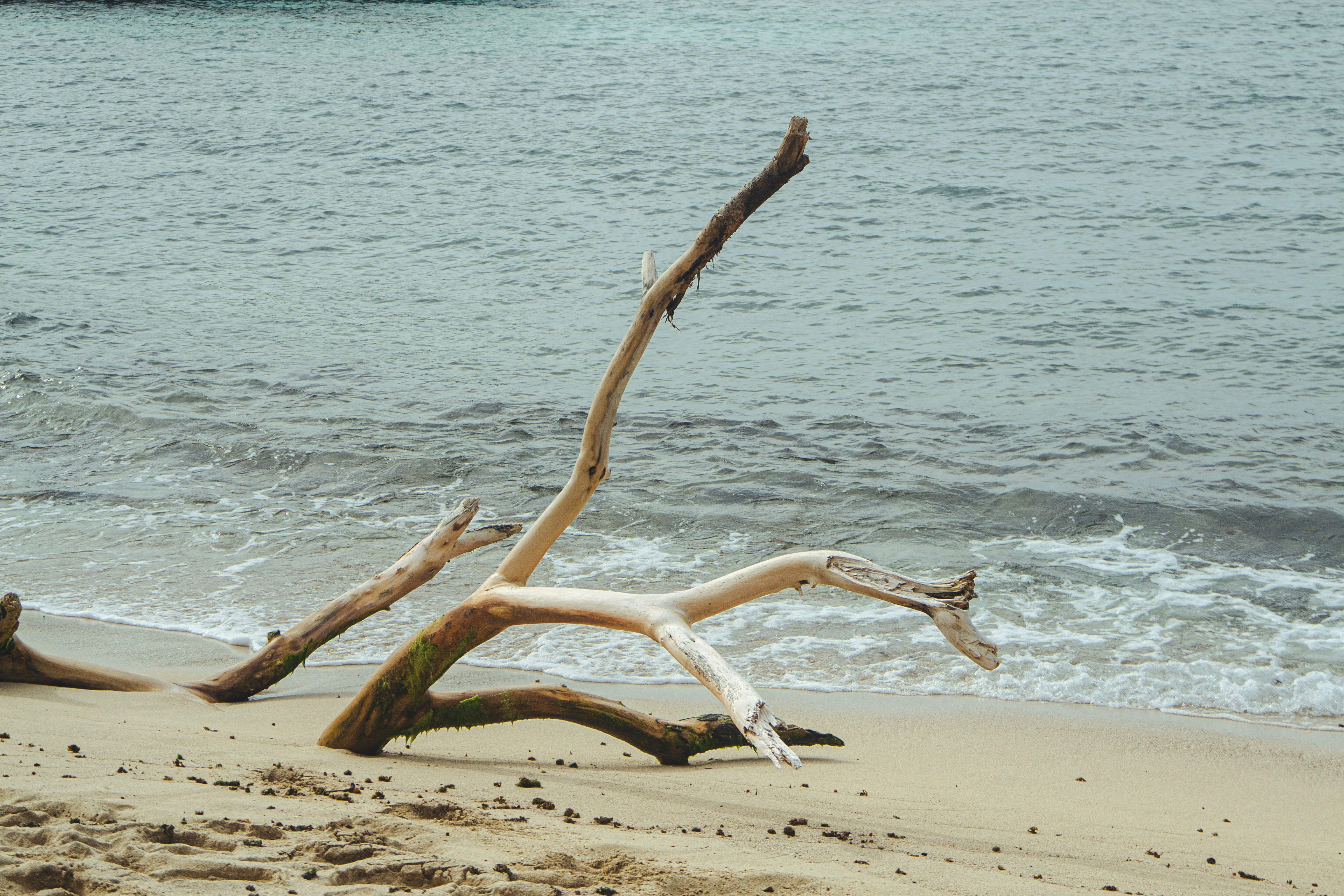 Photo by agustin_pimentel