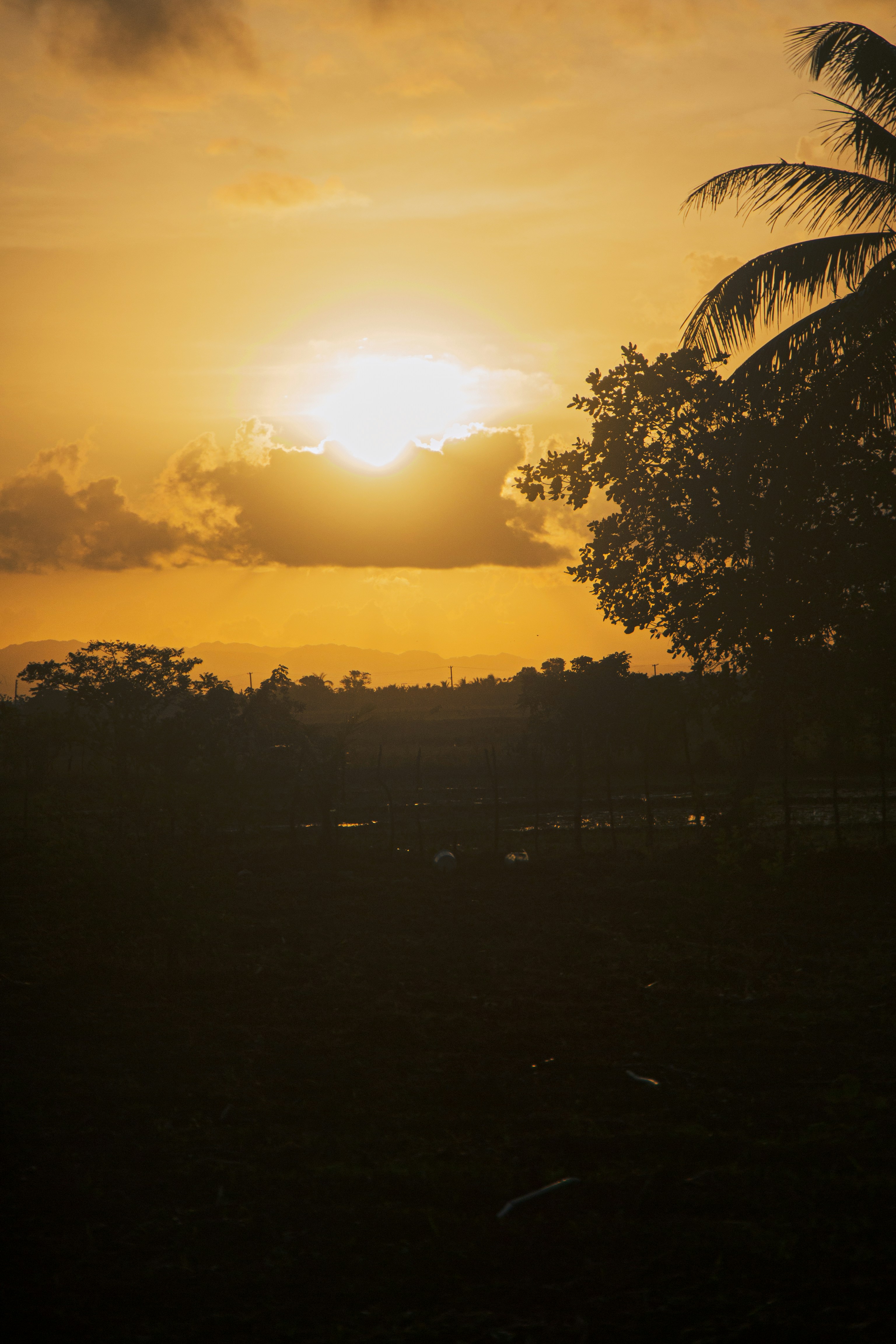 Photo by agustin_pimentel