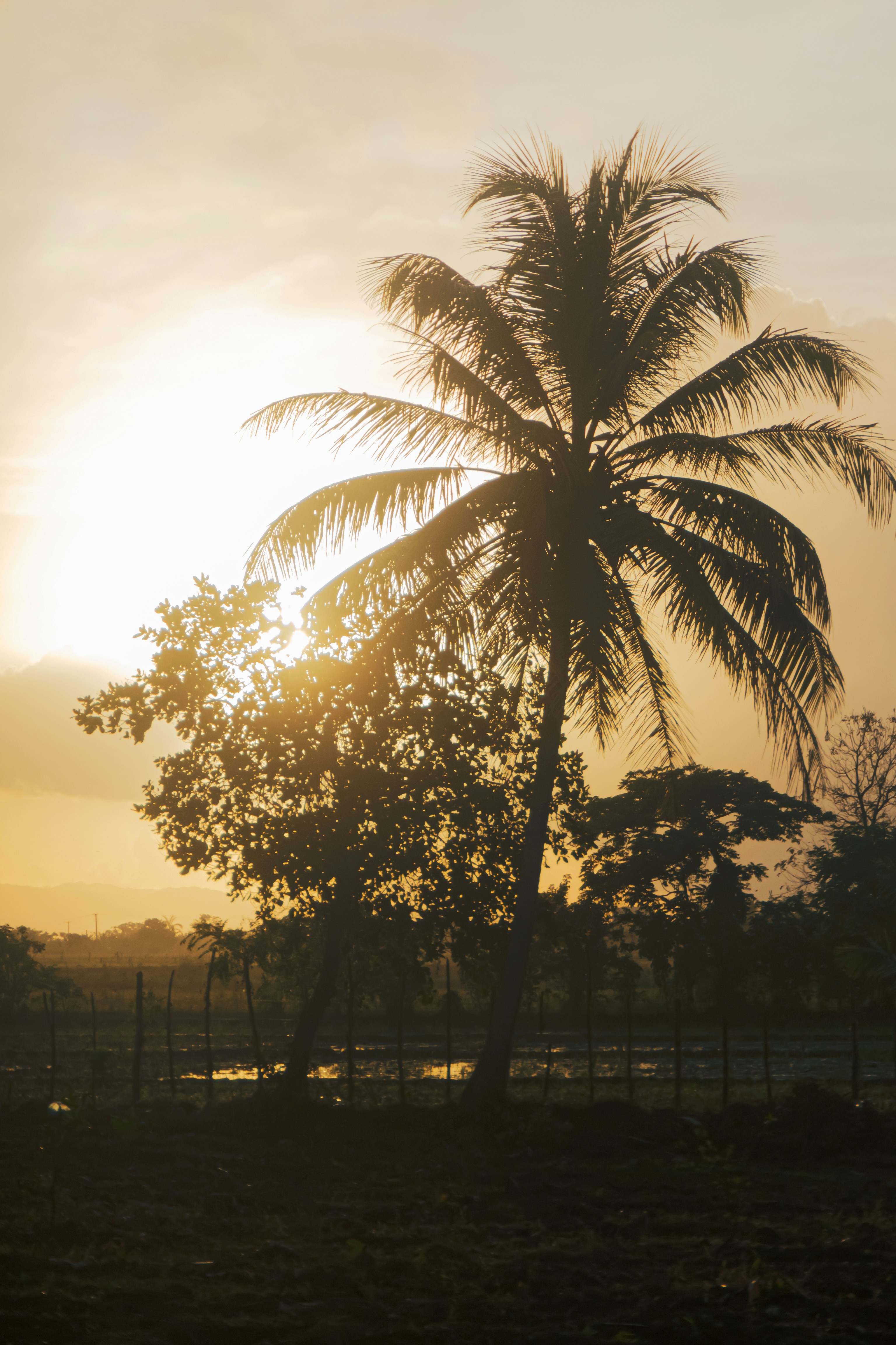 Photo by agustin_pimentel