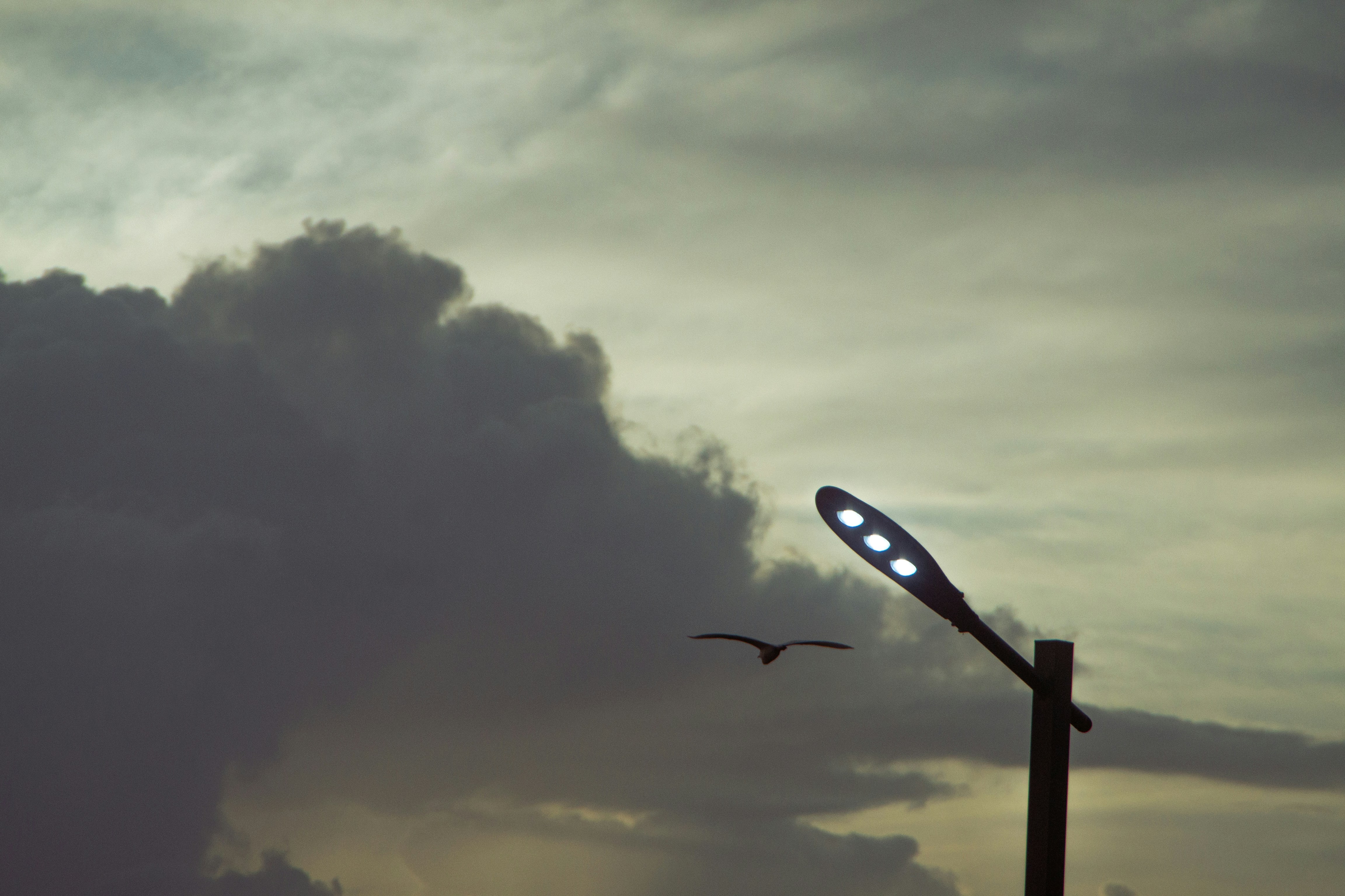 Photo by agustin_pimentel