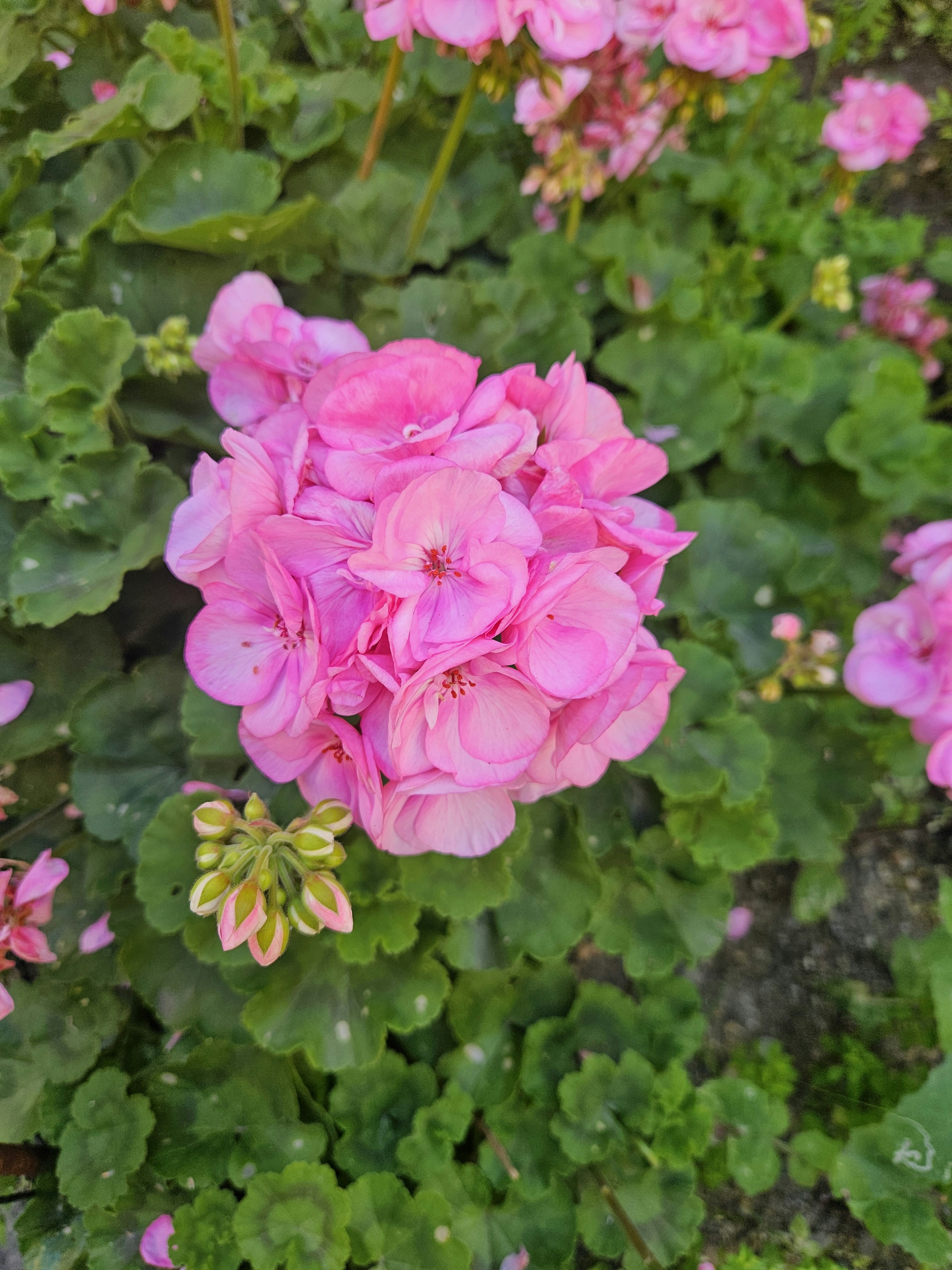 Photo by dilettadavolio