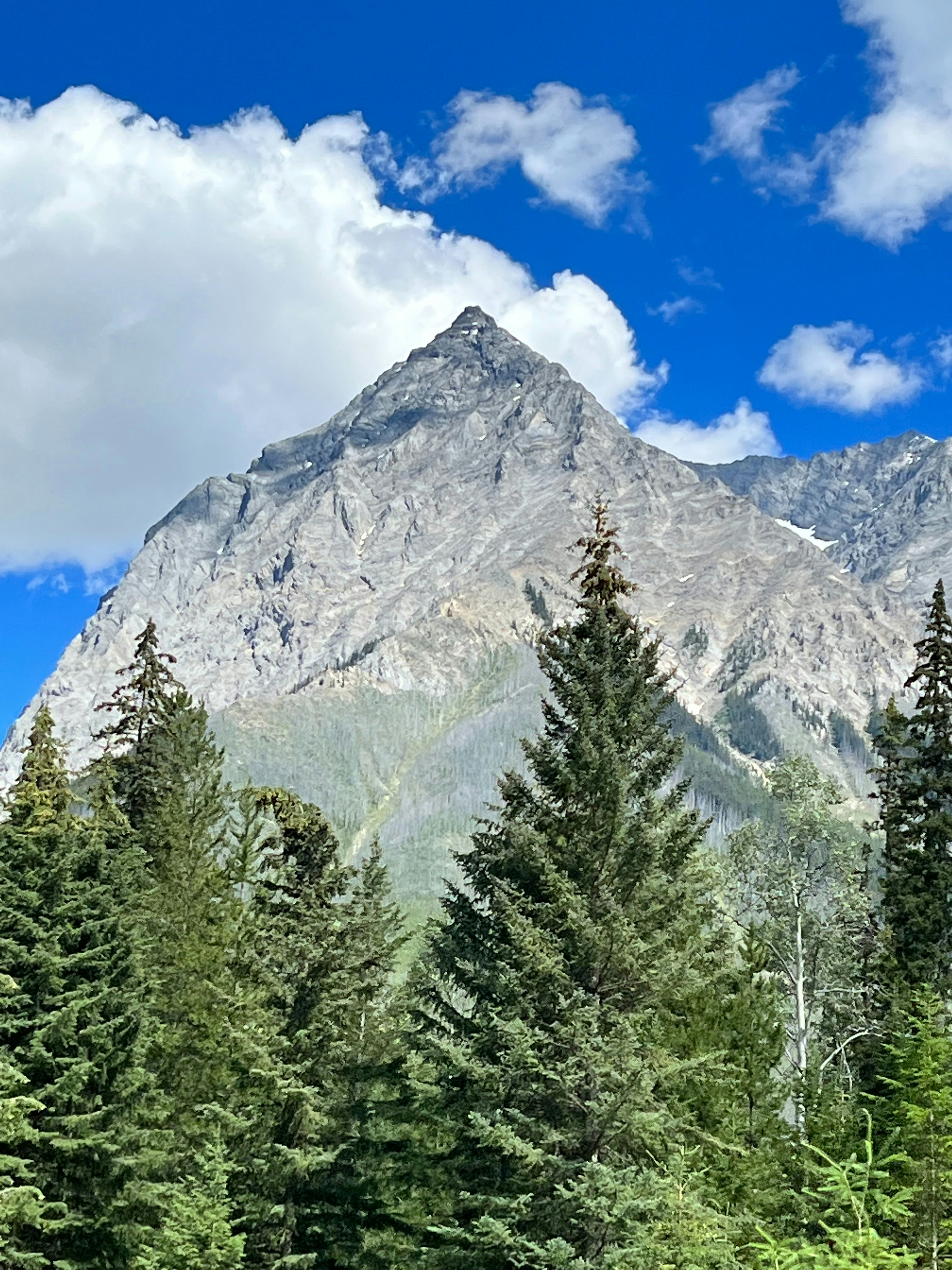 Картинка, поясняваща отговорите на въпроса