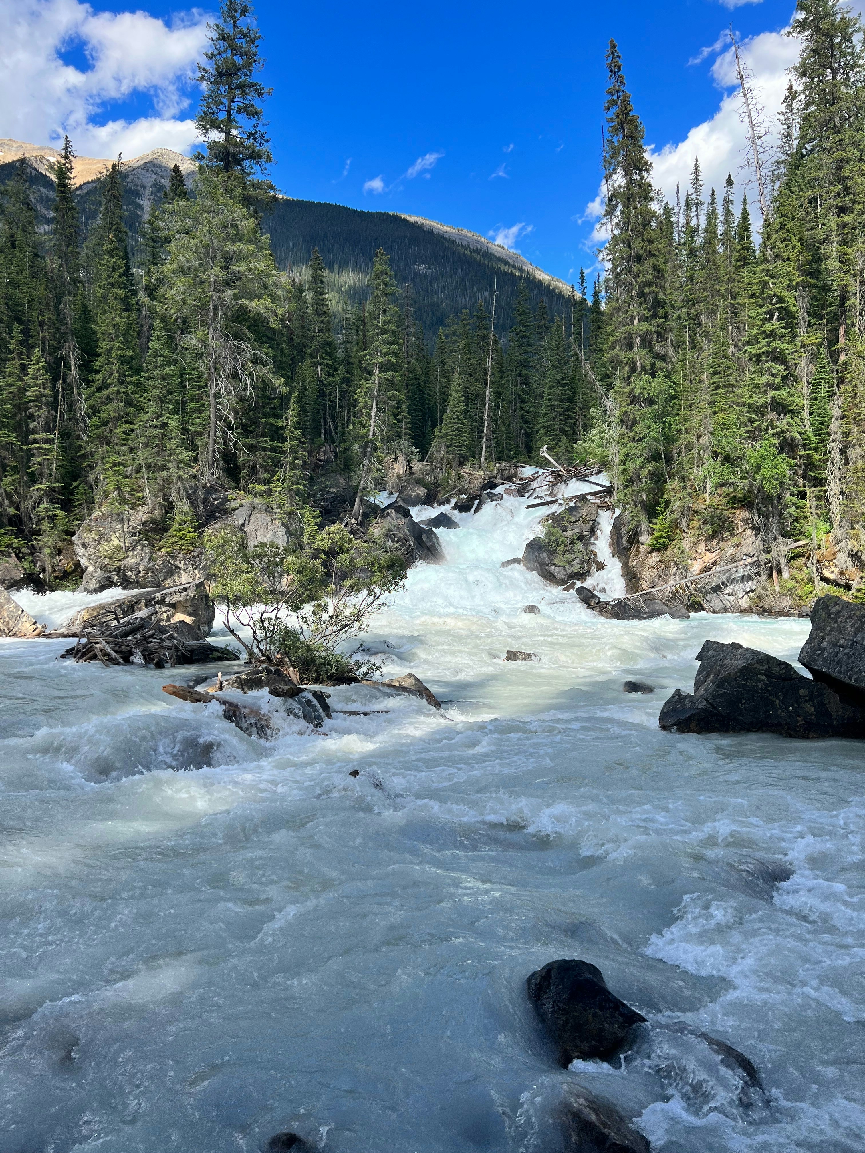 Photo by kpatel122314