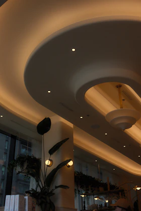 Elegant architectural ceiling lighting