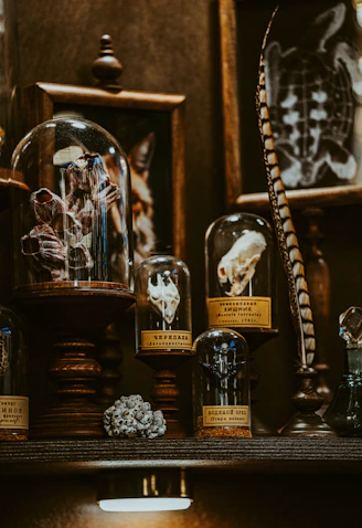 A display of specimens in glass domes.