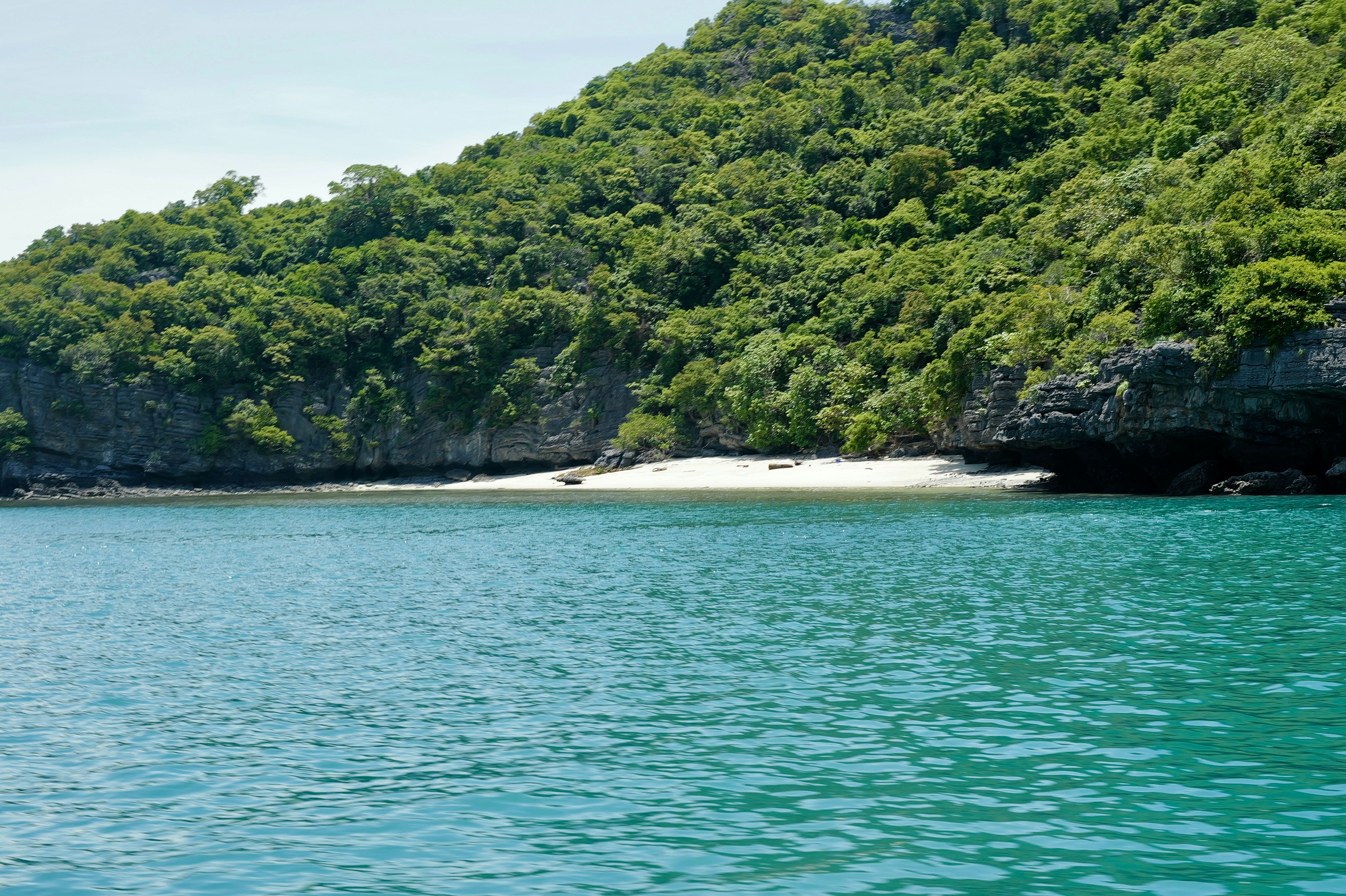 A lush island with a tiny beach.