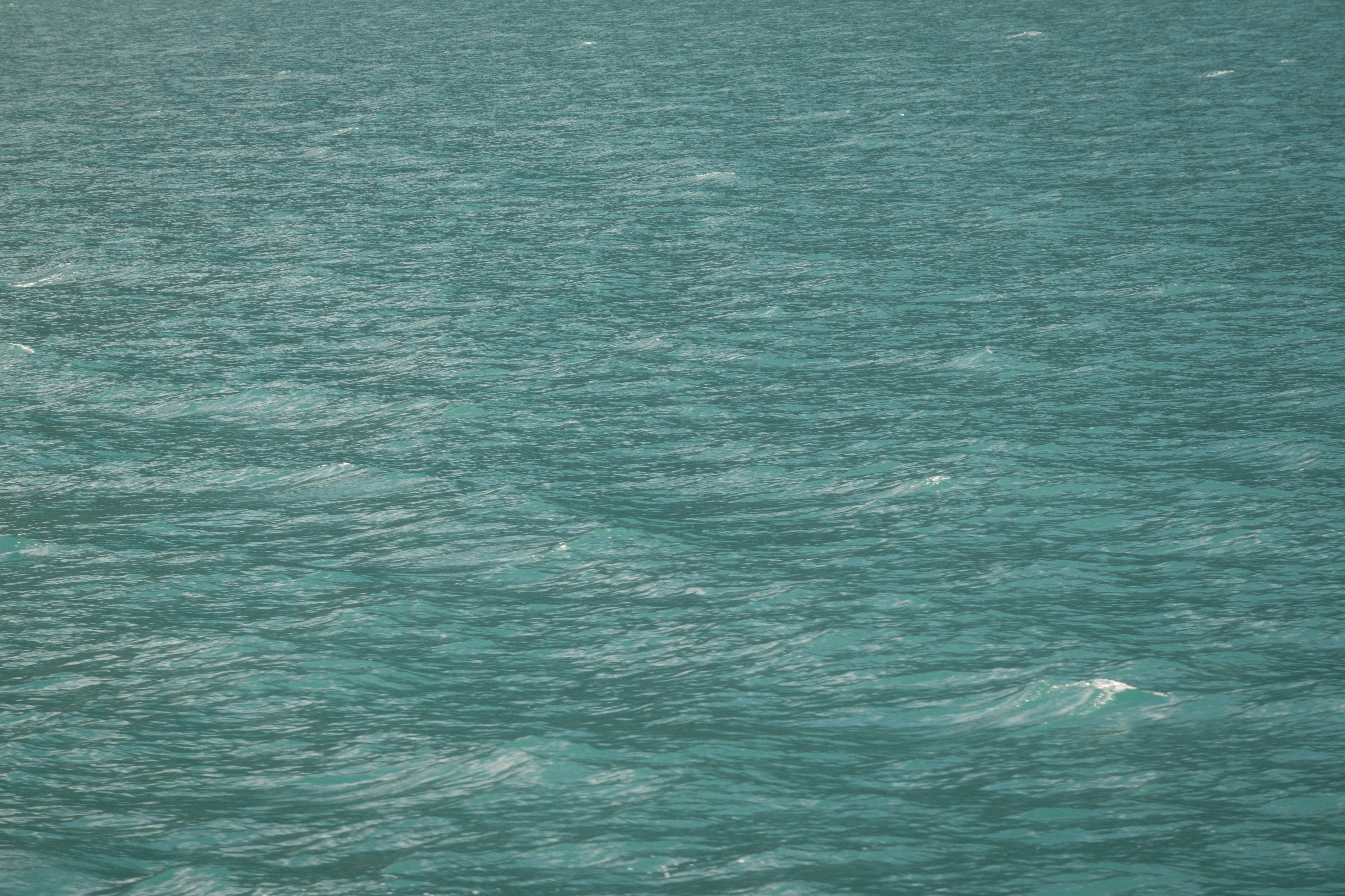 Photo by sriniunsplash