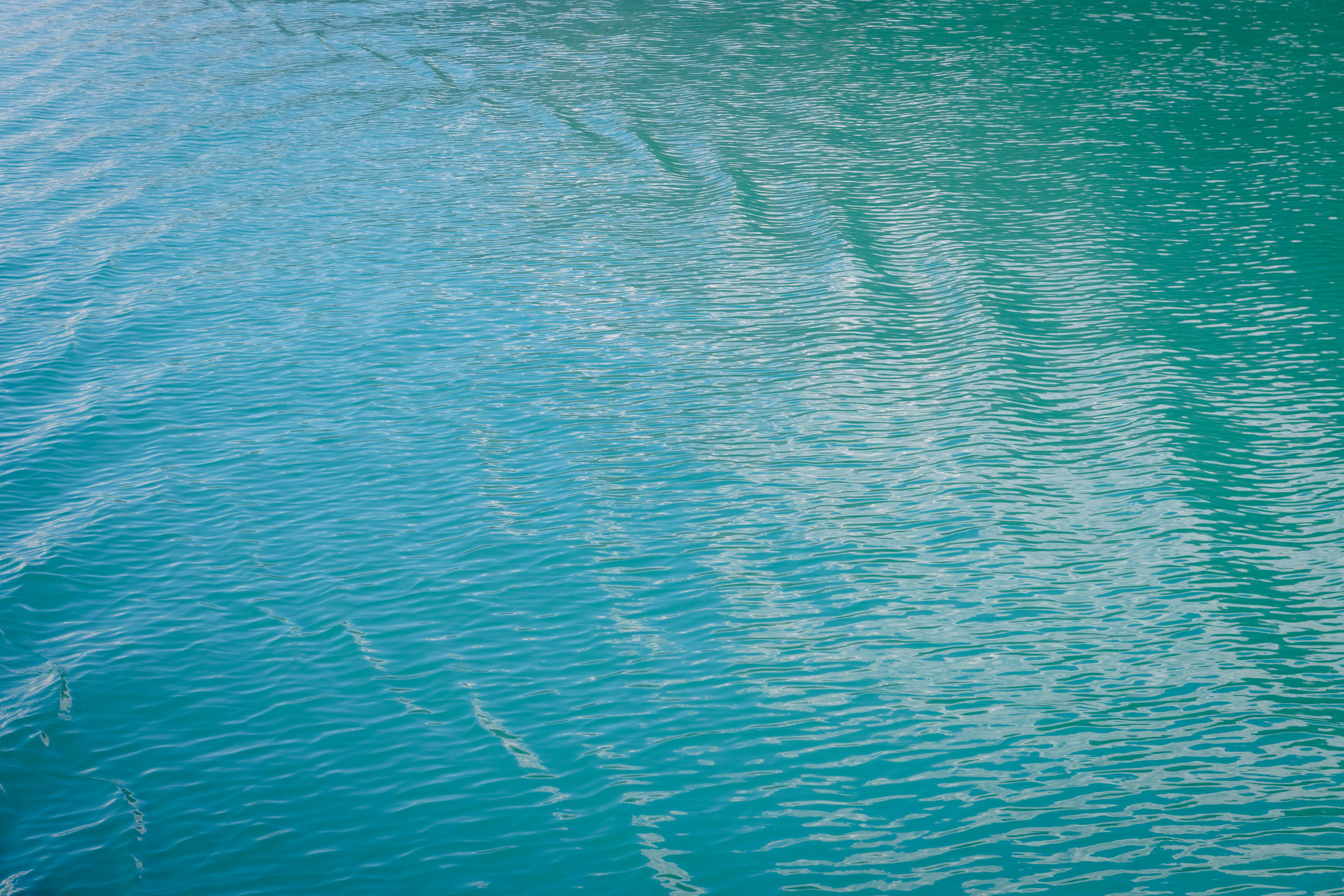 Photo by sriniunsplash