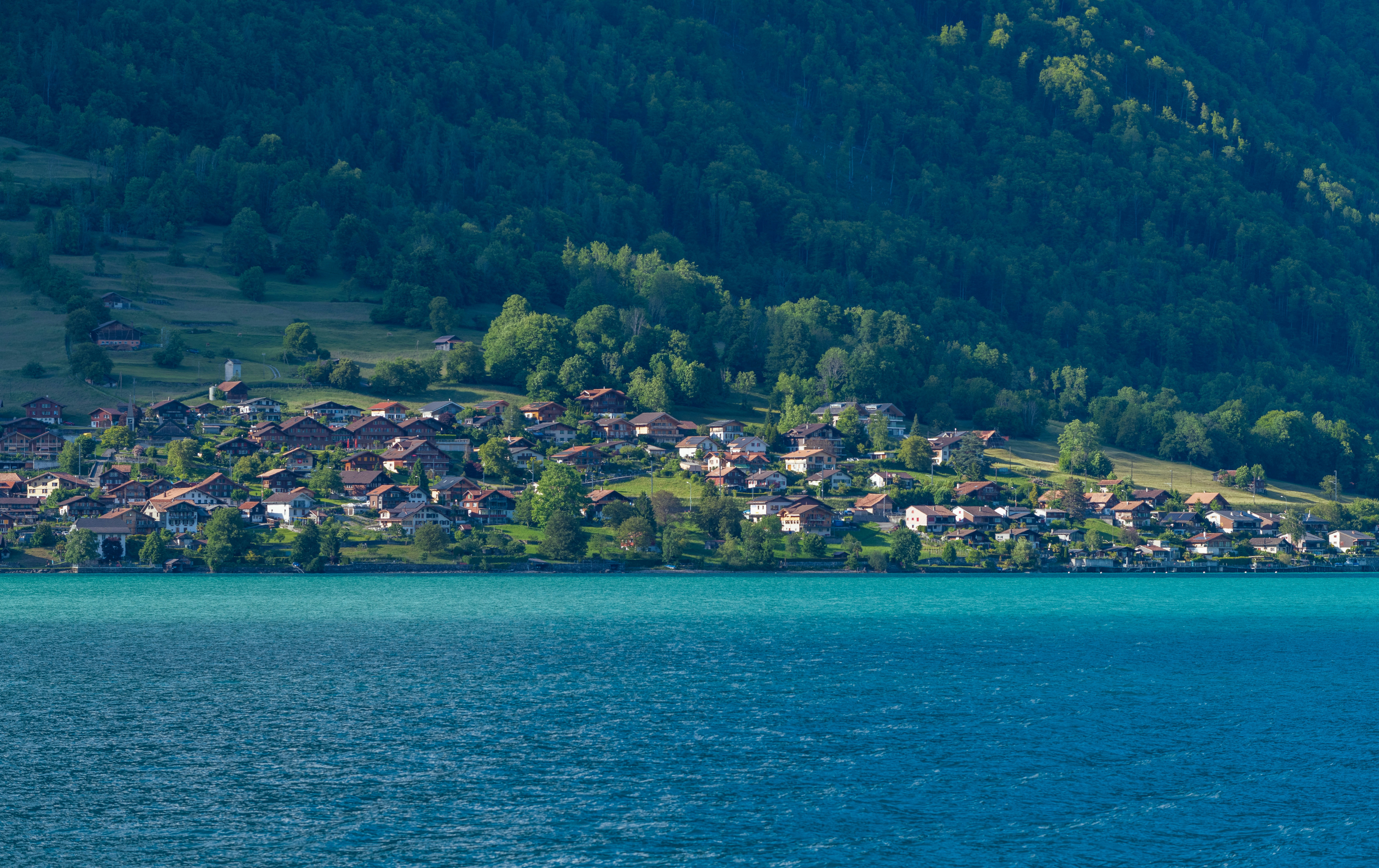 Photo by sriniunsplash