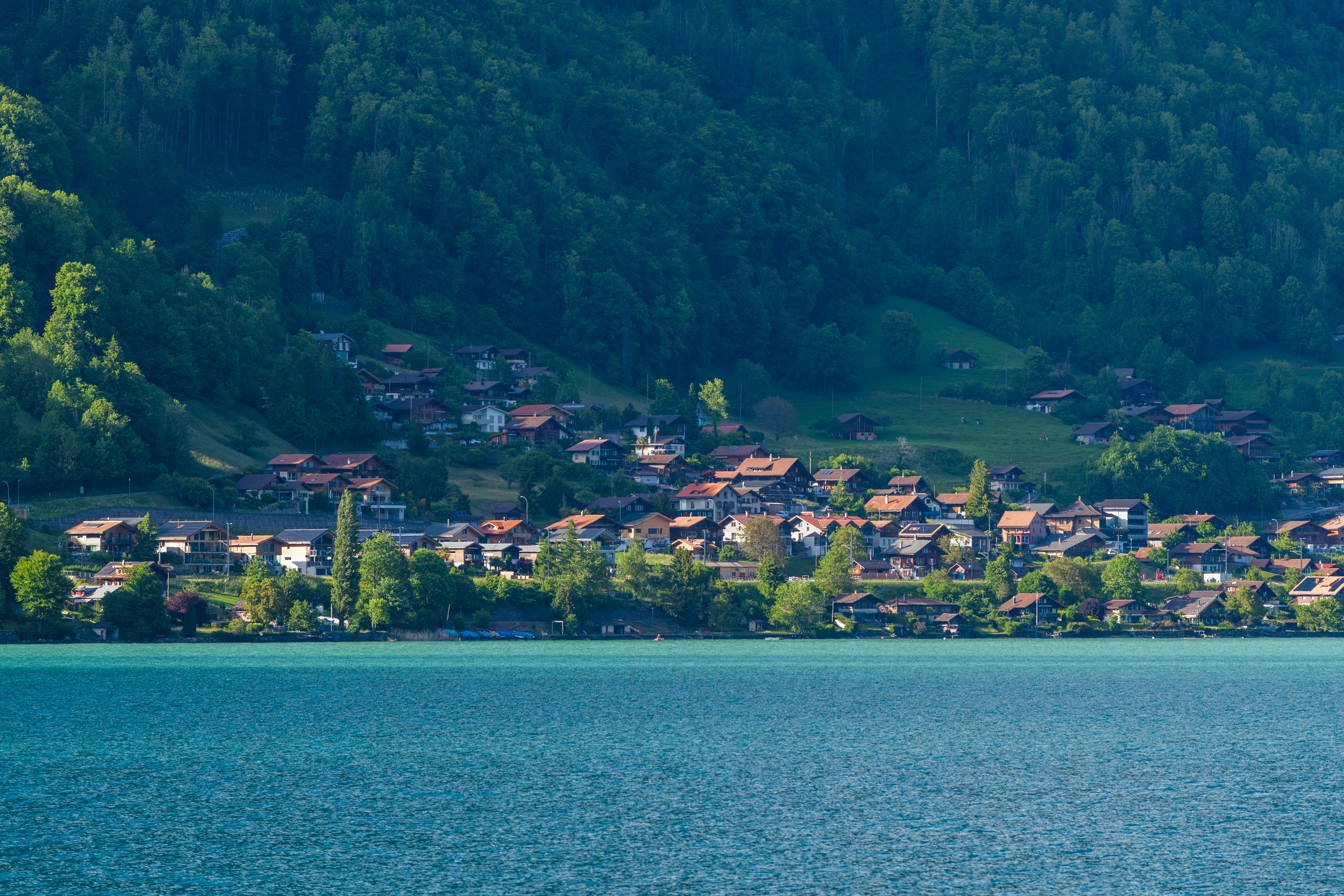 Photo by sriniunsplash