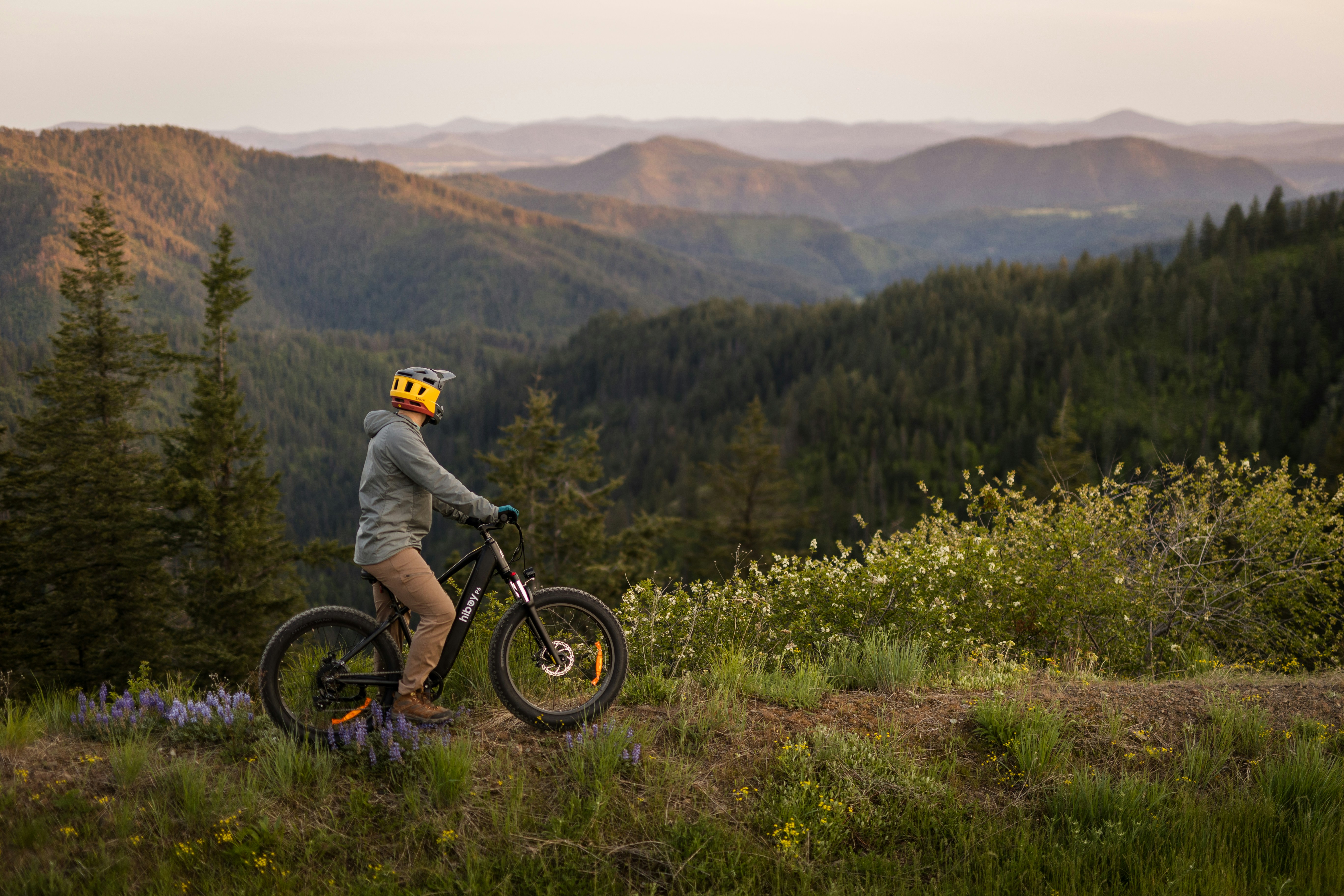 Mountain biker enjoys the scenic vista.