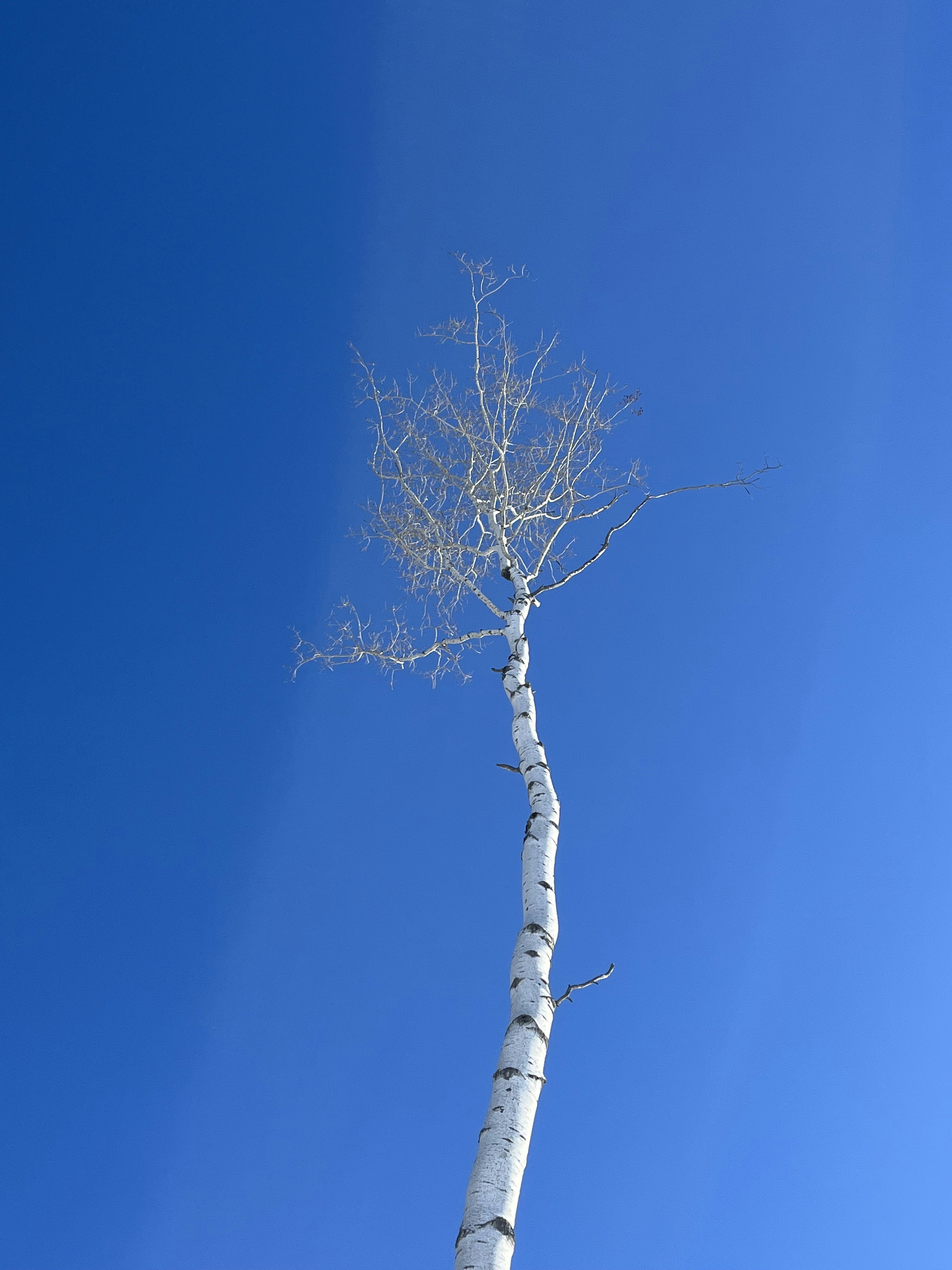 Photo by myunspokenocean