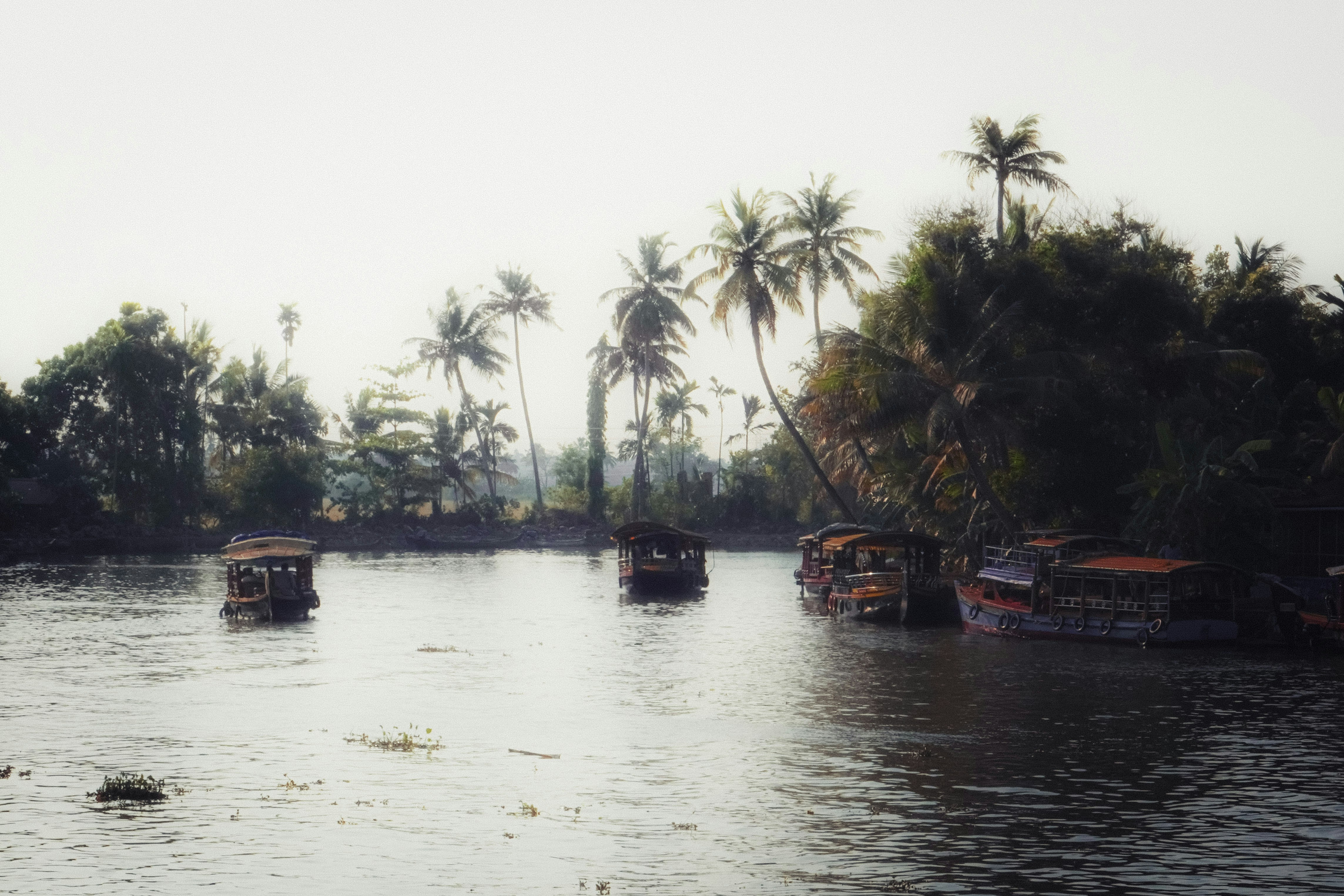 Photo by rishisreekar_20