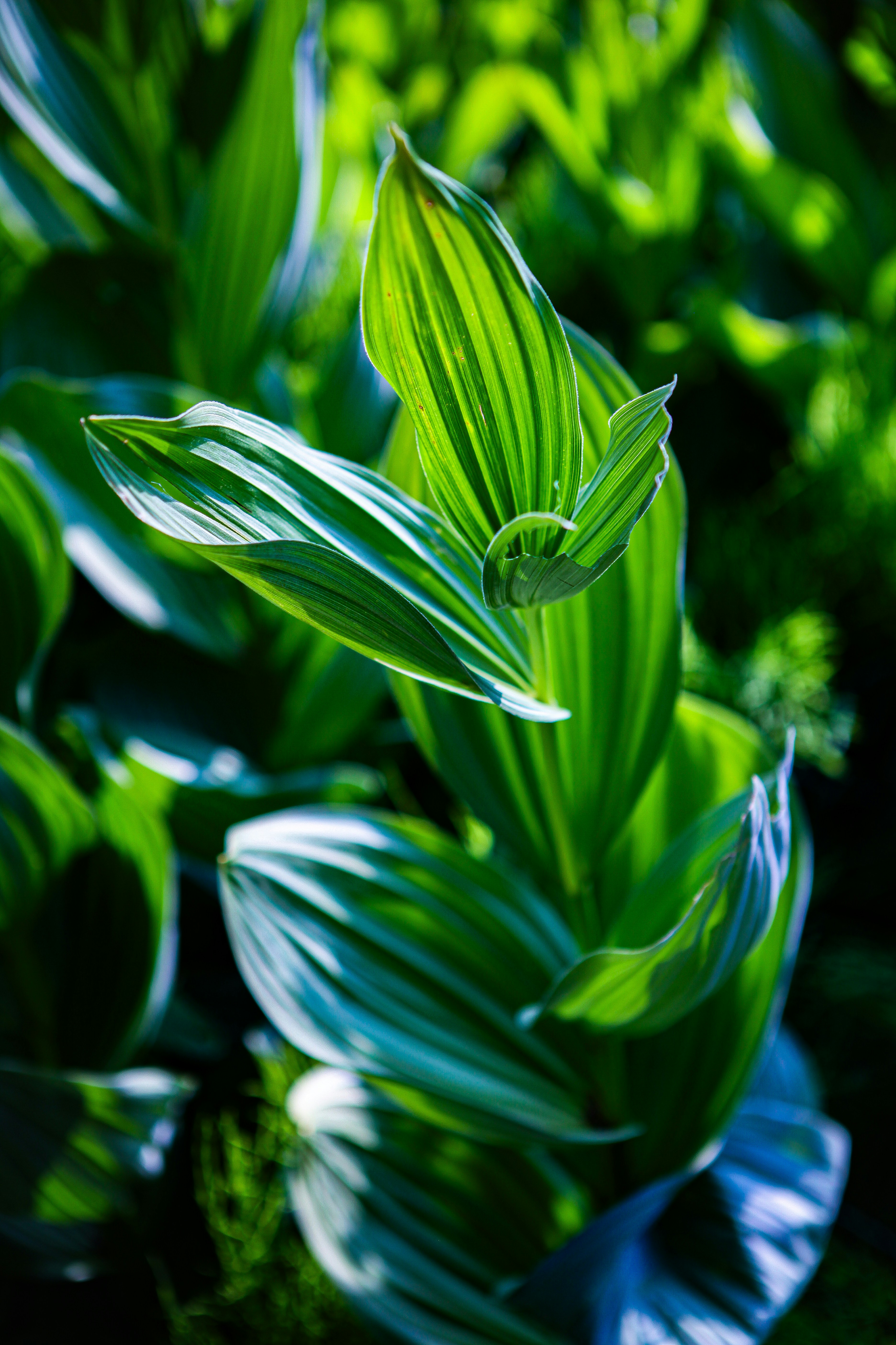 Photo by aurora_original