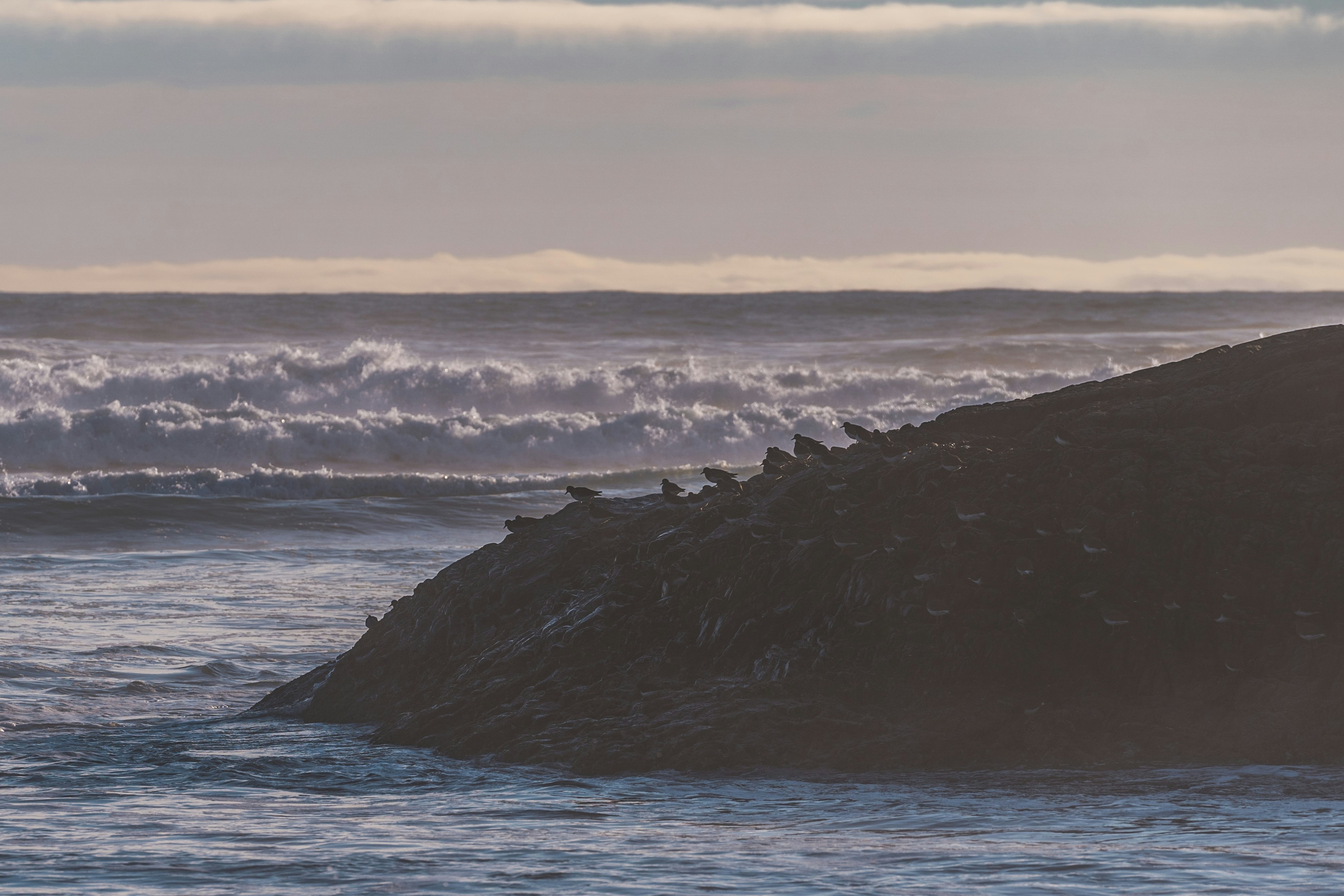 Photo by jaspergarrattphotography