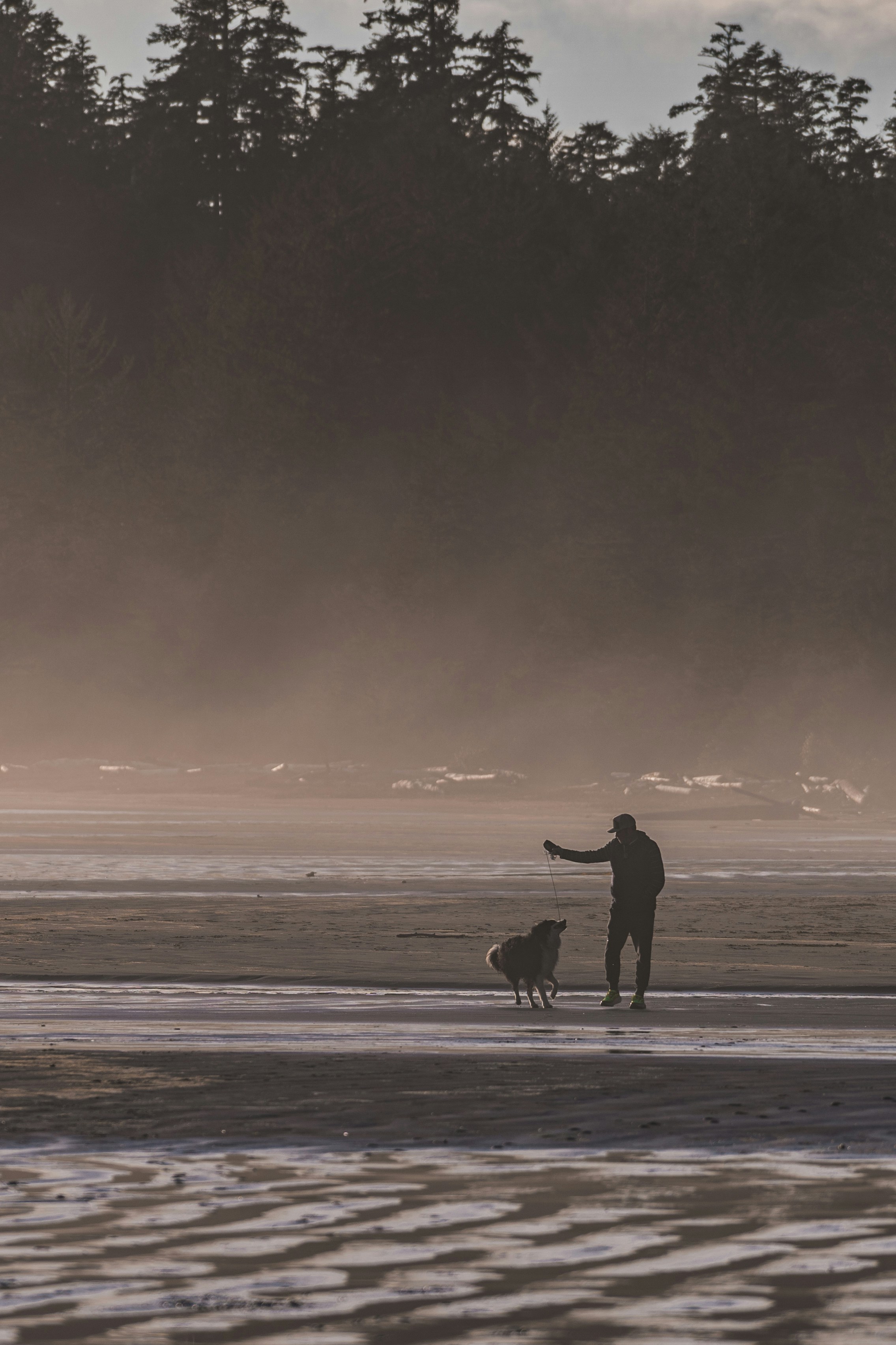 Hombre y perro pasean por la playa al atardecer.