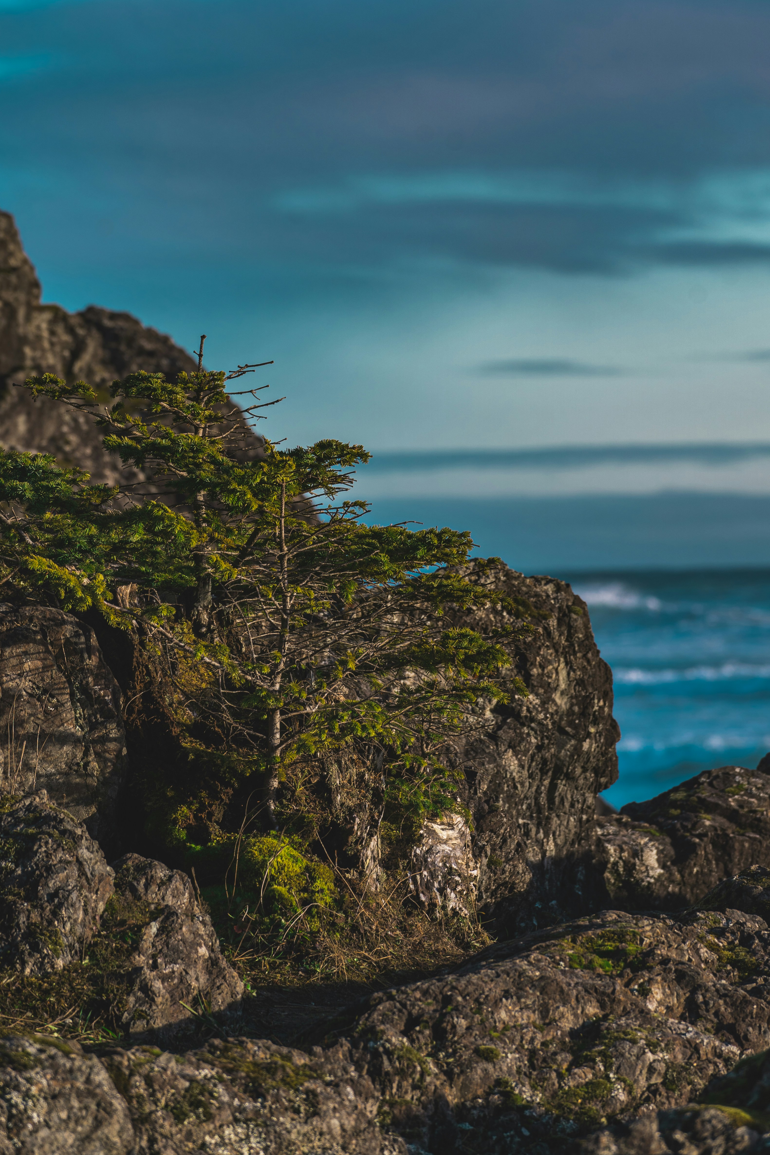 Photo by jaspergarrattphotography