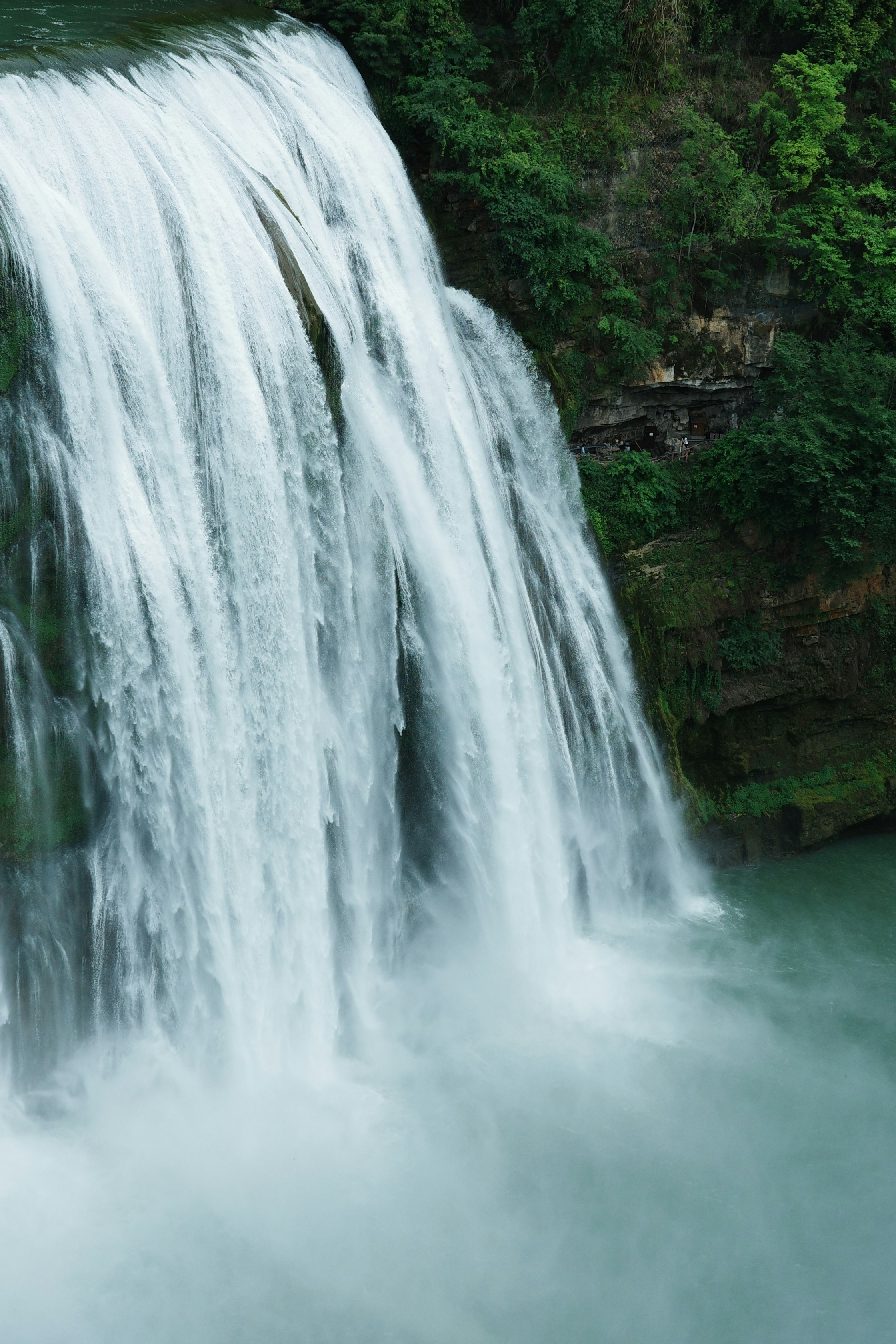 Photo by yingyue_kang