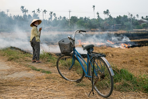 slash-and-burn agriculture in Laos