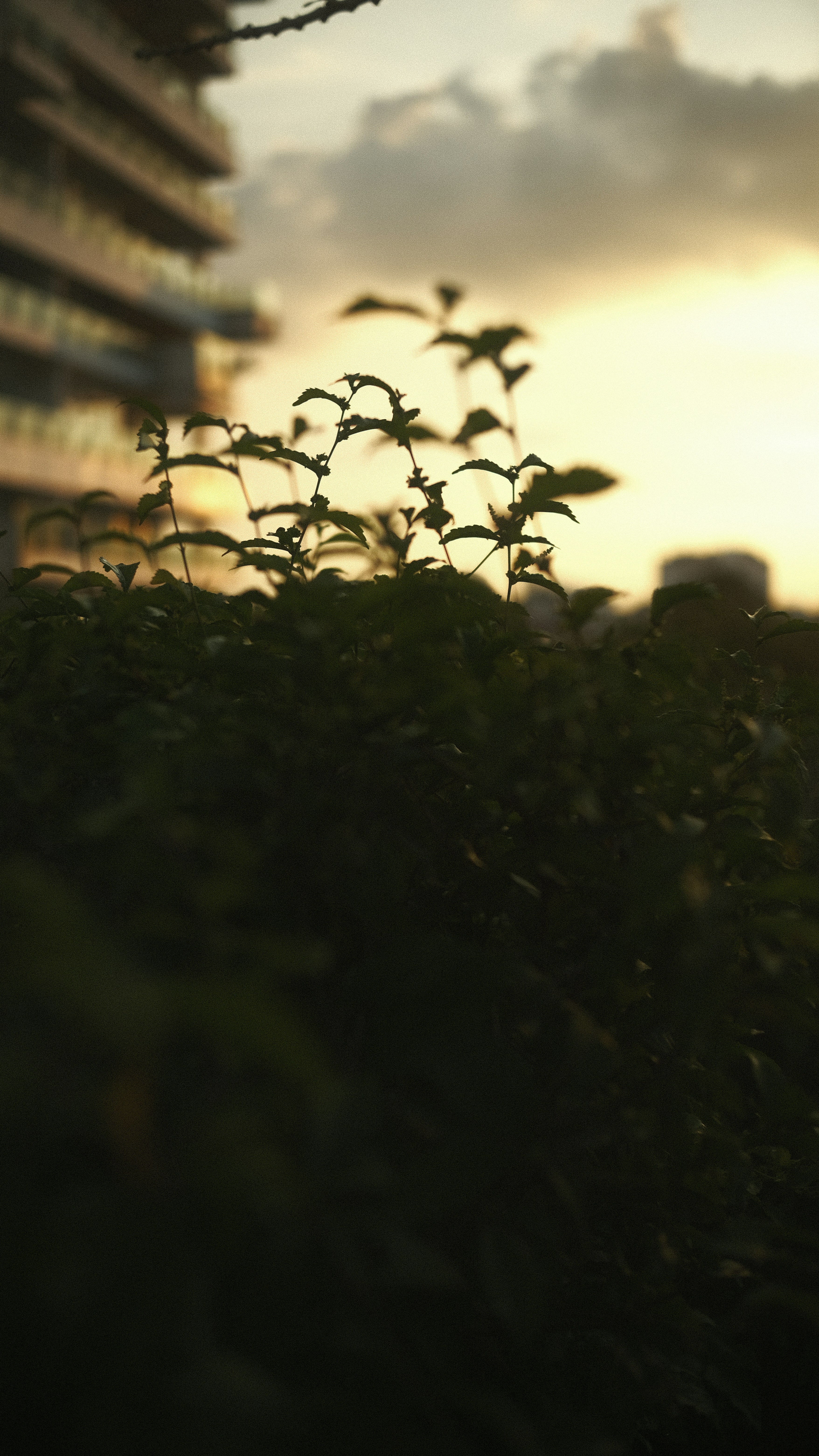 Photo by davidkristianto